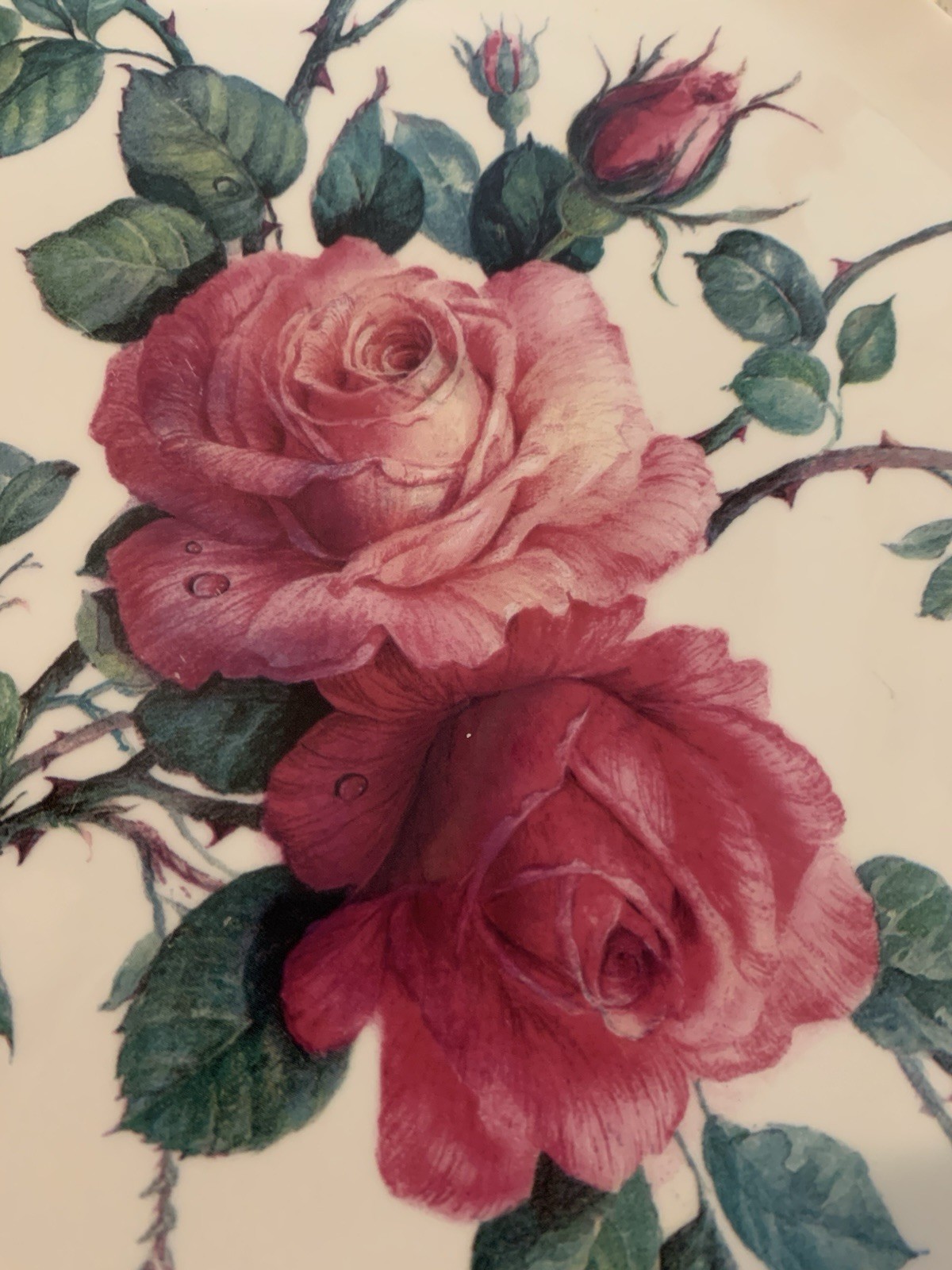 Roy Kirkham “English Rose” 12″ Platter (“cake plate”) Fine Bone China. MINT cond