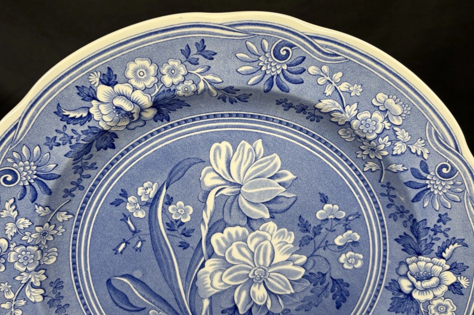 The Spode Blue Room Collection “Botanical” Plate Made In England 10.5″