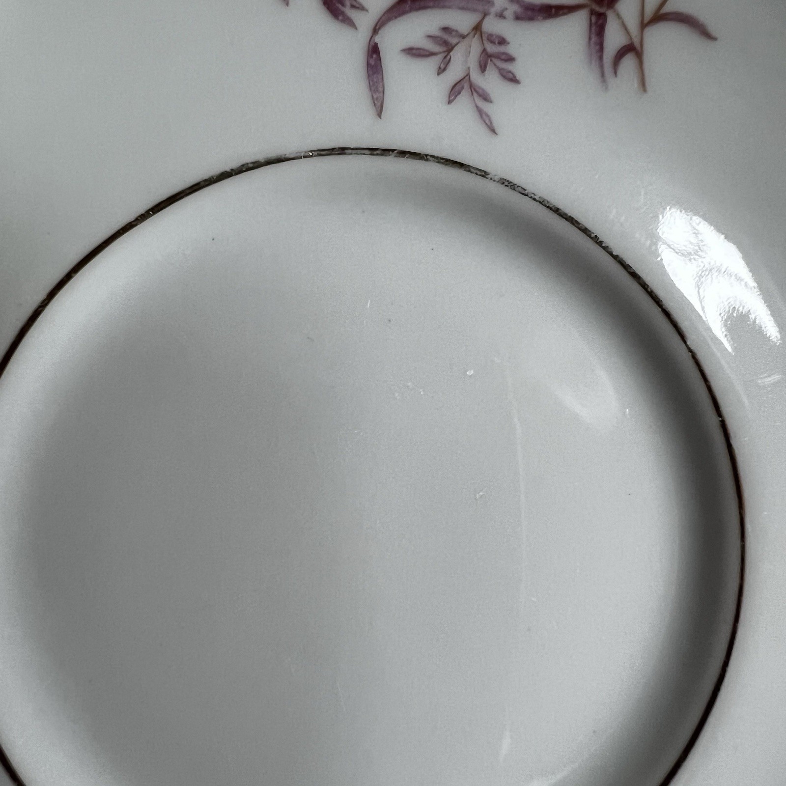Thomas R Germany Porcelain Tea Cup, Saucer, Dessert Plate Trio Set of 5