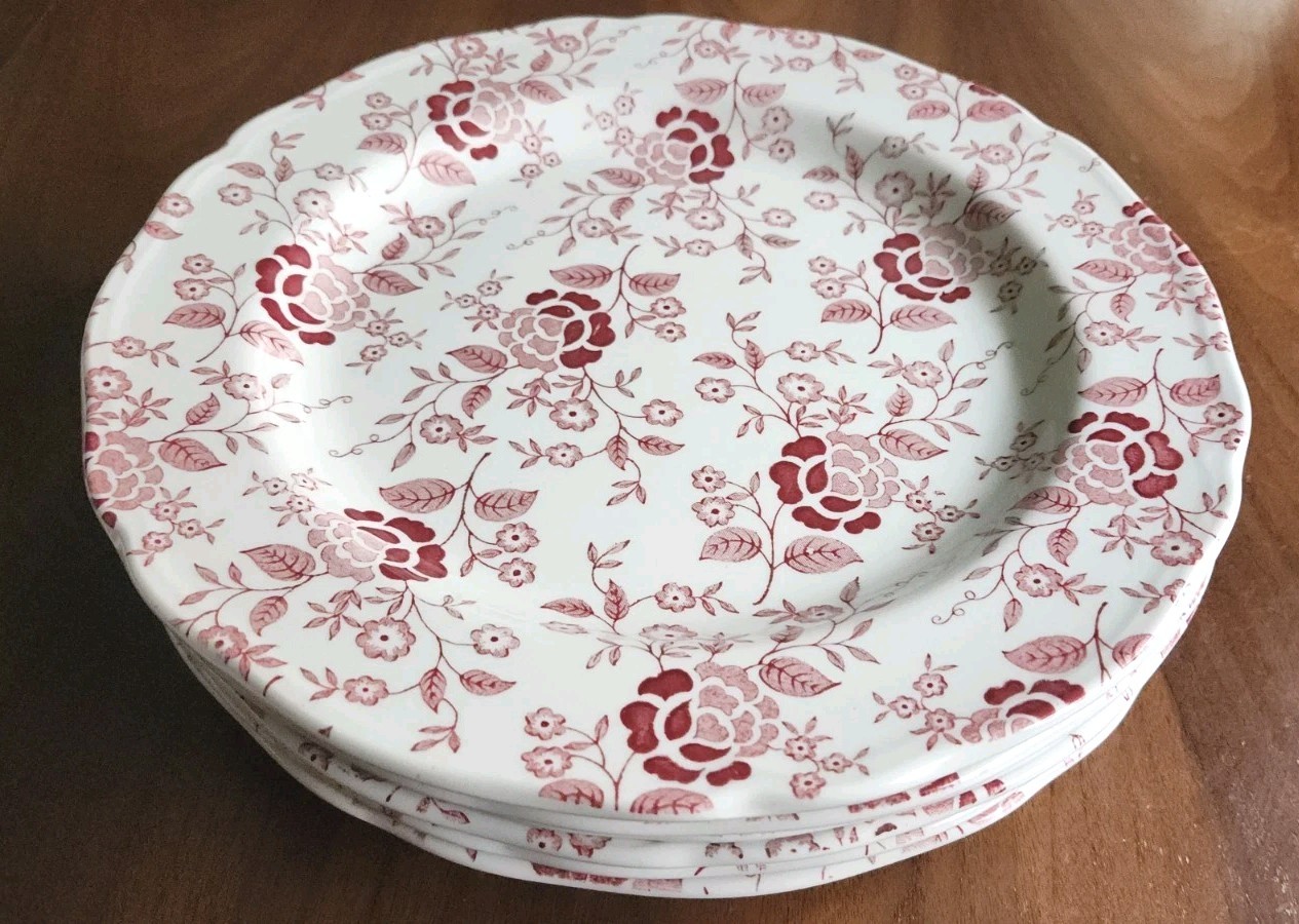 Set Of 5 Royal Staffordshire Heirloom Ironstone J&G Meakin 10.25”Dinner Plates