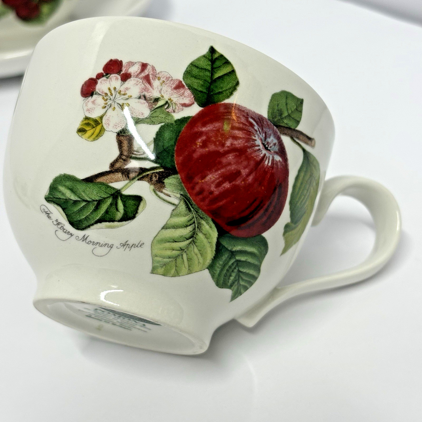 Portmeirion Pomona Traditional Footed Tea Coffee Cups & Saucers Gr Britain Set 4