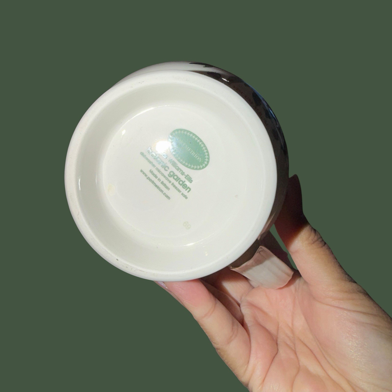 Portmeirion Botanic Garden Mistletoe Viscum Album Mug Cup Discontinued 4.5”