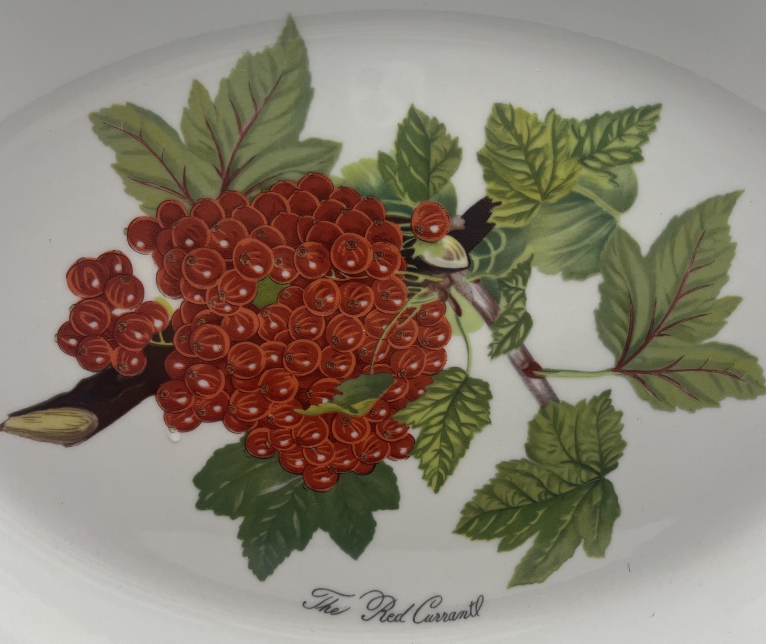 Portmeirion Pomona Oval Steak Platter 10.75 Inch Retired RED CURRANT