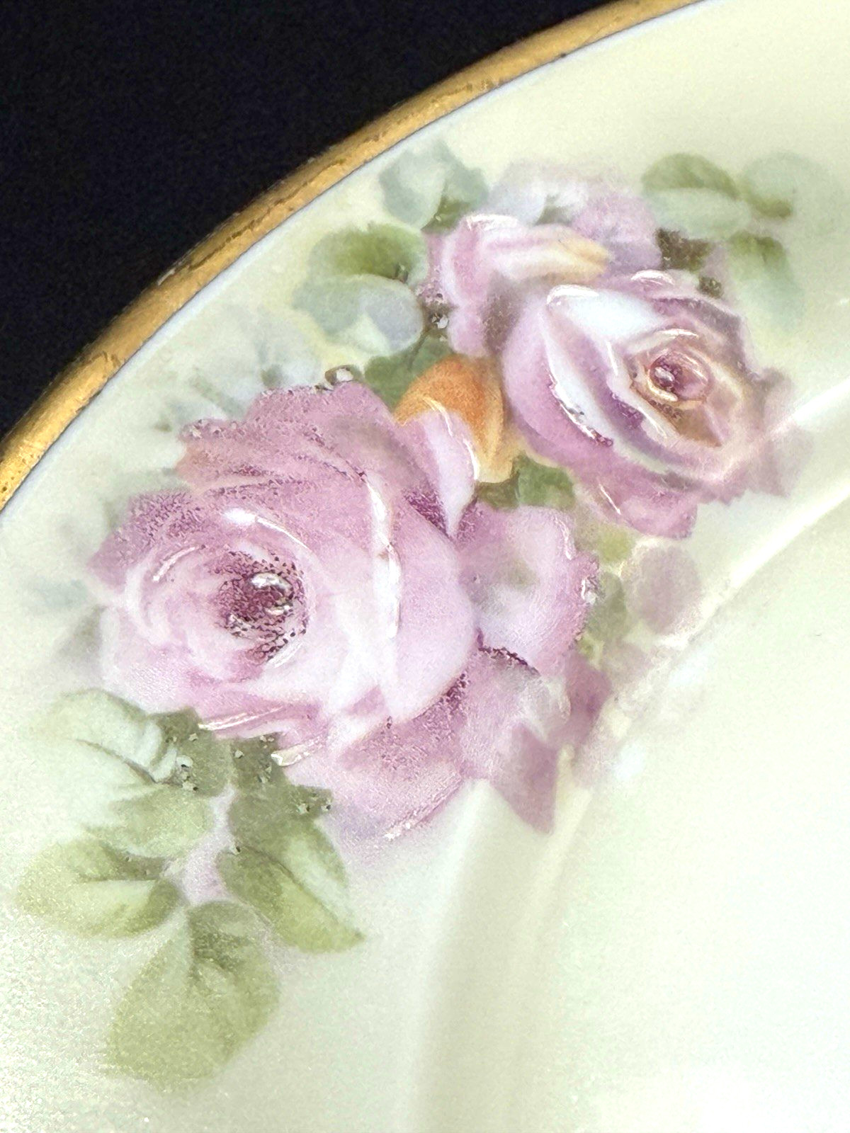 Antique Hutschenreuther Selb Bavaria HAND PAINTED PLATE Tatler Lawson Trenton