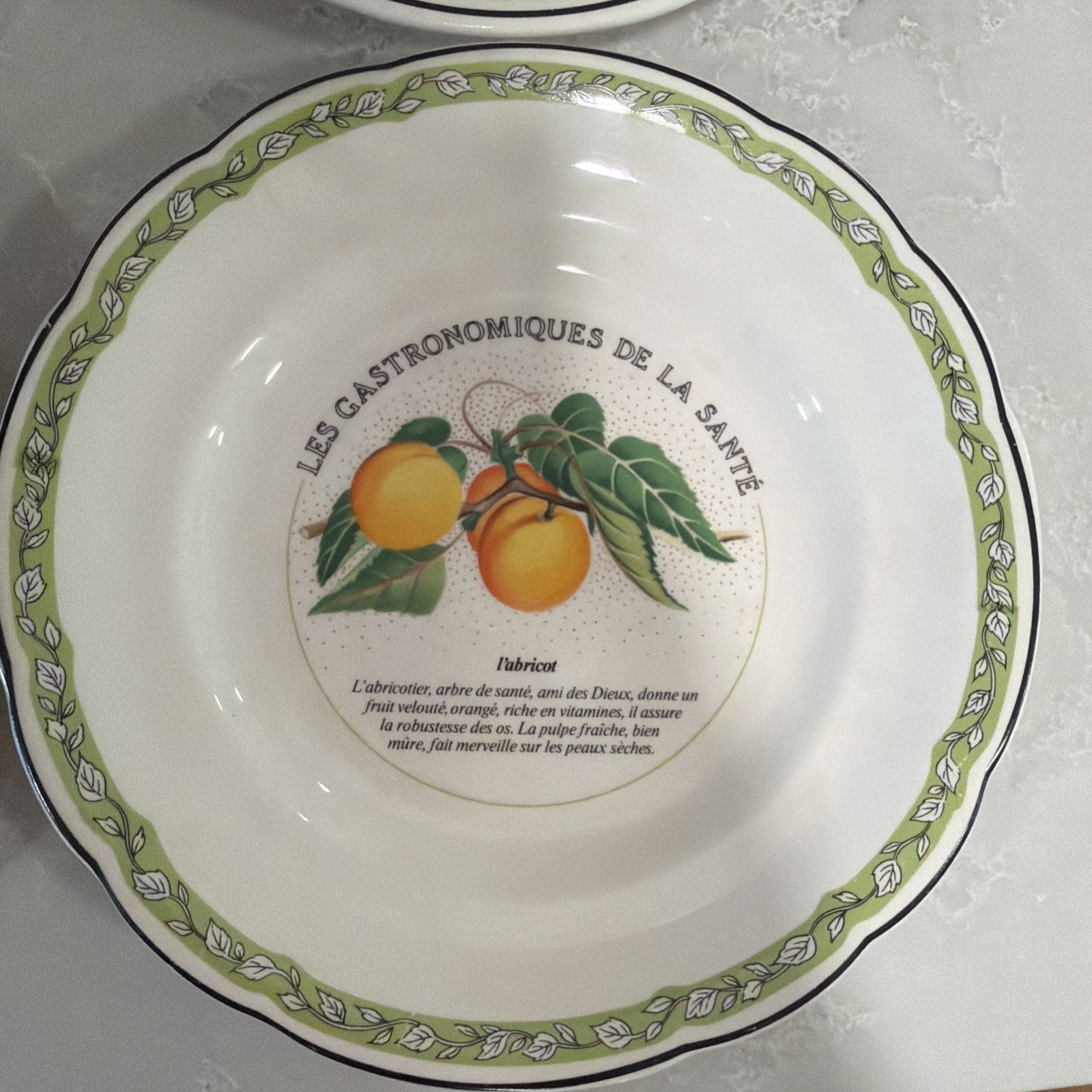 6 VTG Gien China France Les Gastronomiques de la Sante Salad Dessert Plate Set