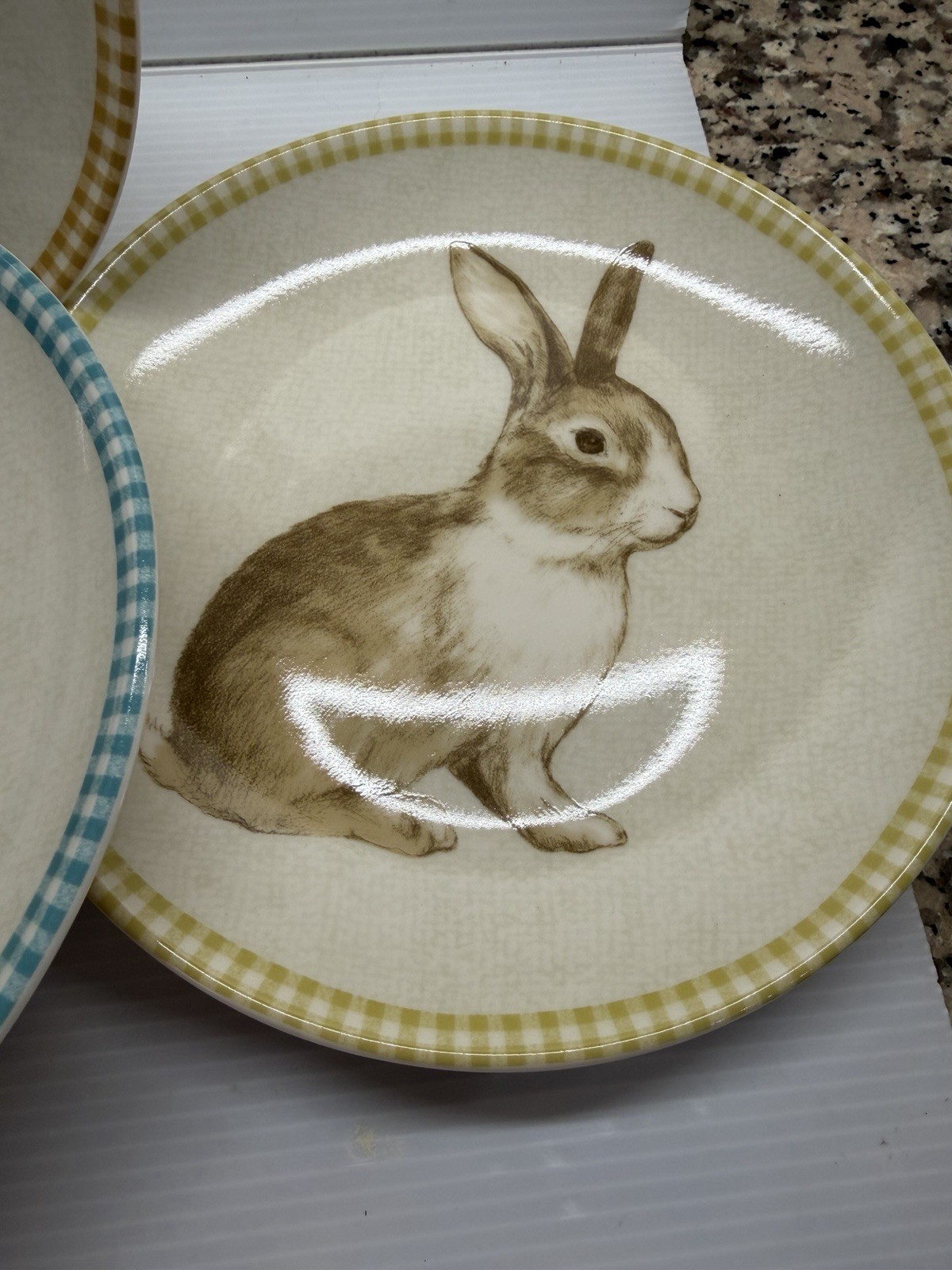 222 Fifth Bunny Land Rabbit Gingham Edge Easter Salad Plates 8” Set Of 4 New