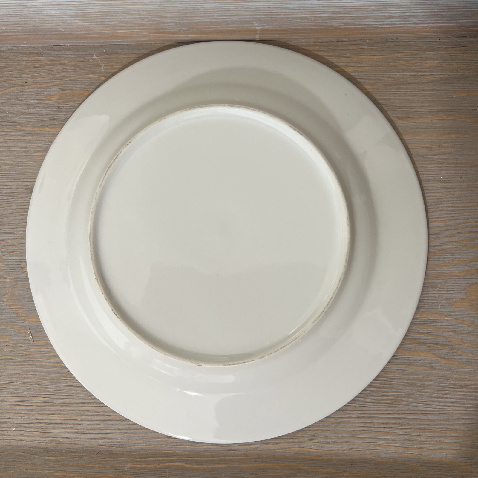 11 3/4 inch solid white dinner plate