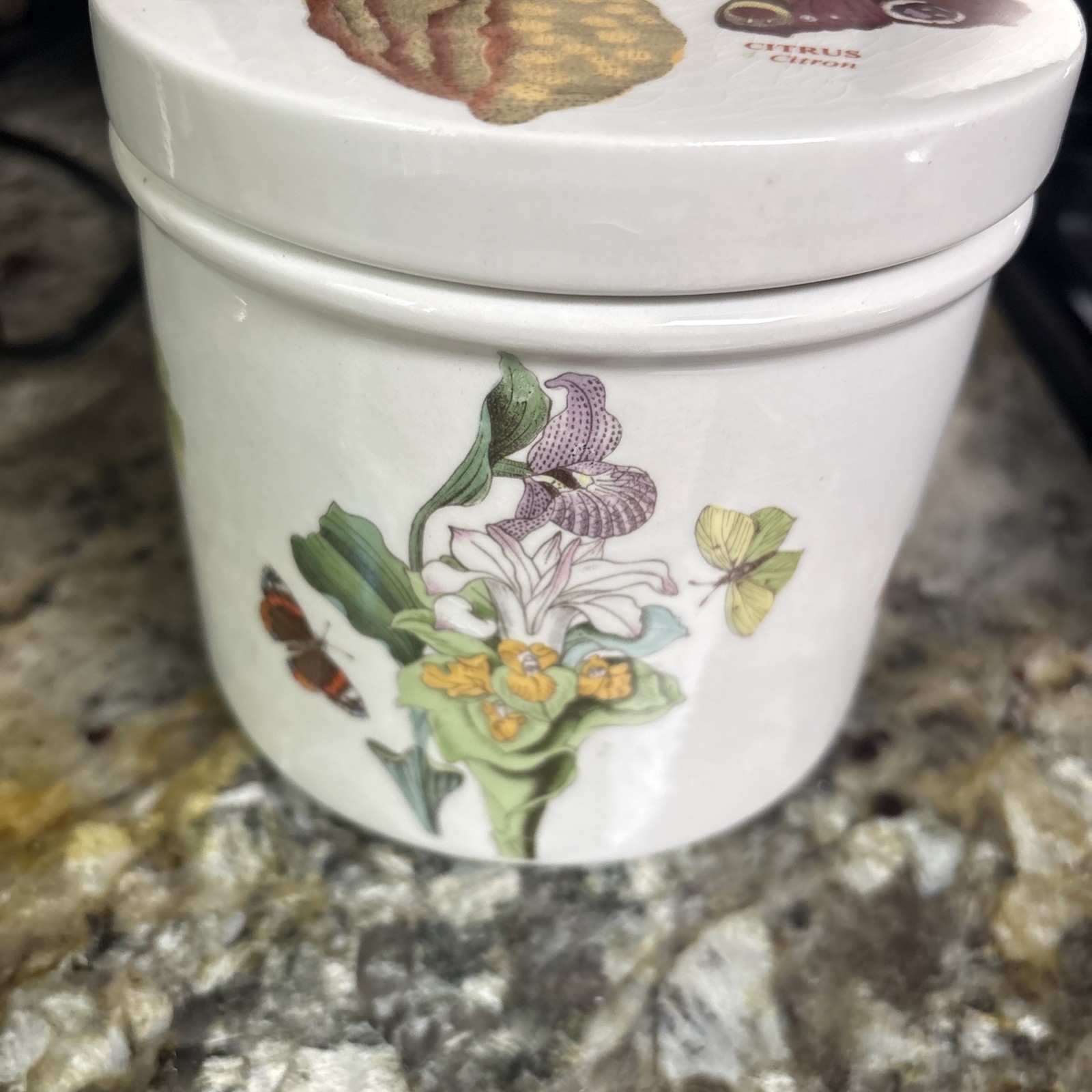 PORTMEIRION BOTANIC GARDEN CITRON (Citrus) 5″ JAR VERY RARE/Great CONDITION