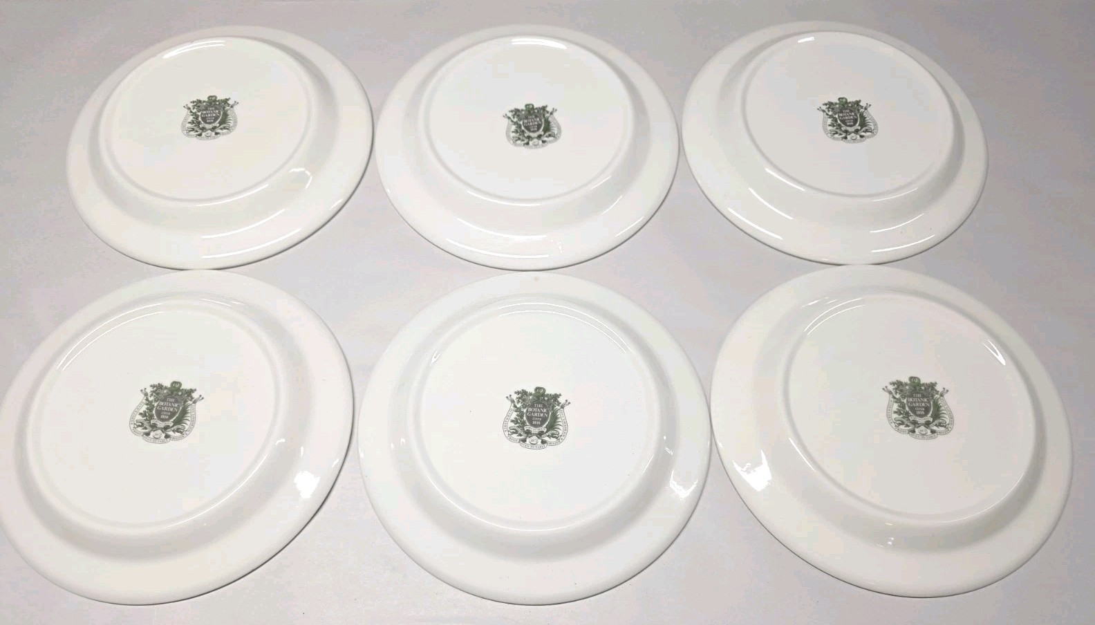 1972 Portmeirion Botanic Garden Set of 6 Rimmed Dinner Plates 10.5” EXC