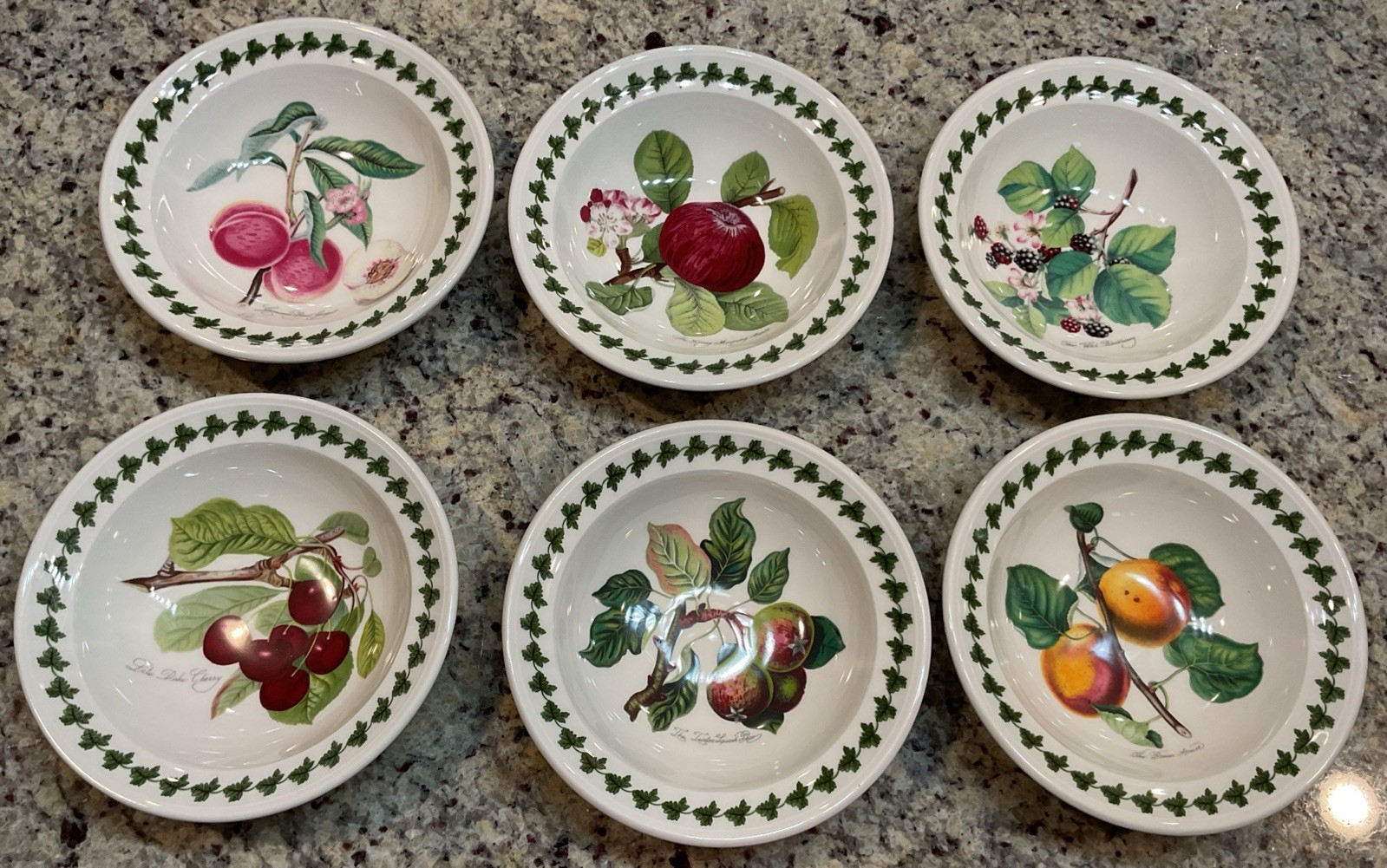 PORTMEIRION Set of 6 POMONA Rimmed Oatmeal Bowls – 6.5 in Made In England NWT