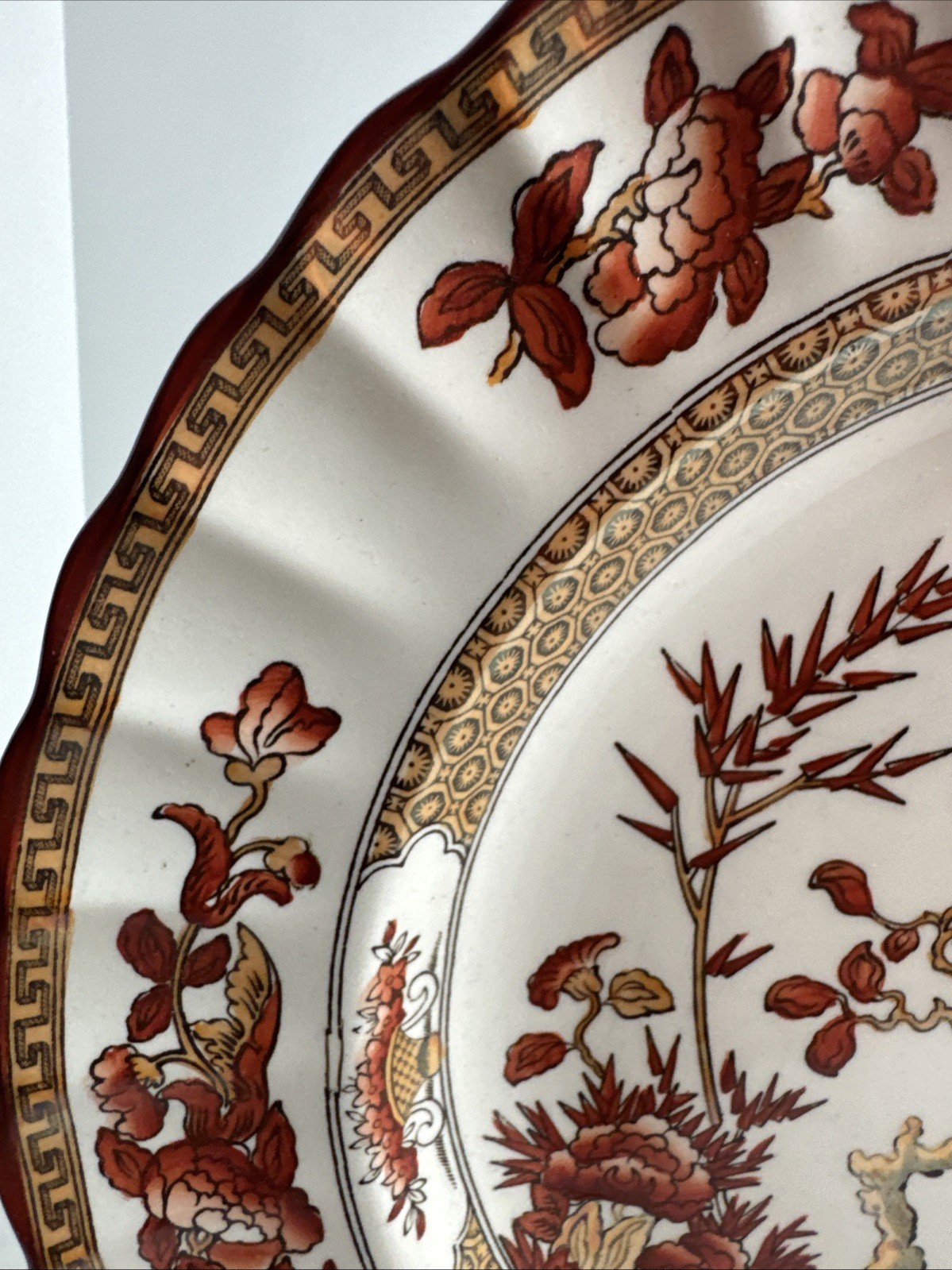Copeland Spode Indian Tree 10 3/8″ Dinner Plate Orange Rust Scallop Trim England