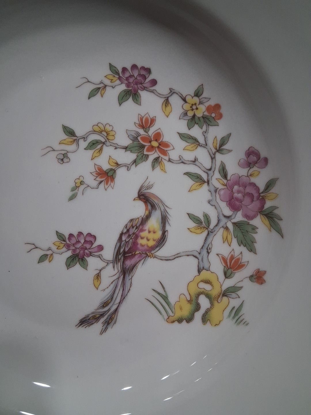 Vtg Mini Gallery Wall Plates Bowl Set (3) Peacock Bird Of Paradise Floral China