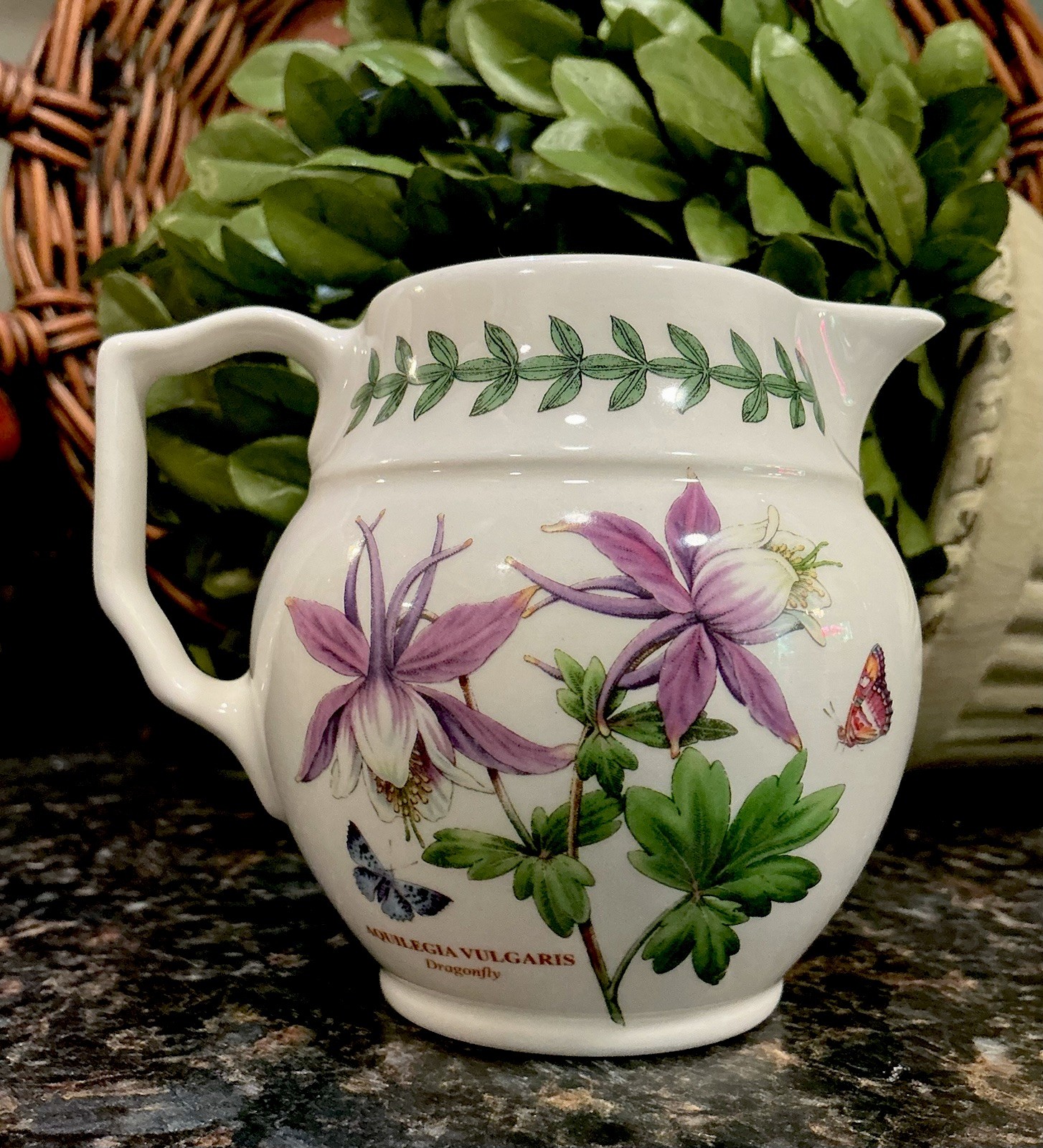 Portmeirion Exotic Botanic Garden DRAGONFLY 8oz Creamer DISC England ~ PRISTINE