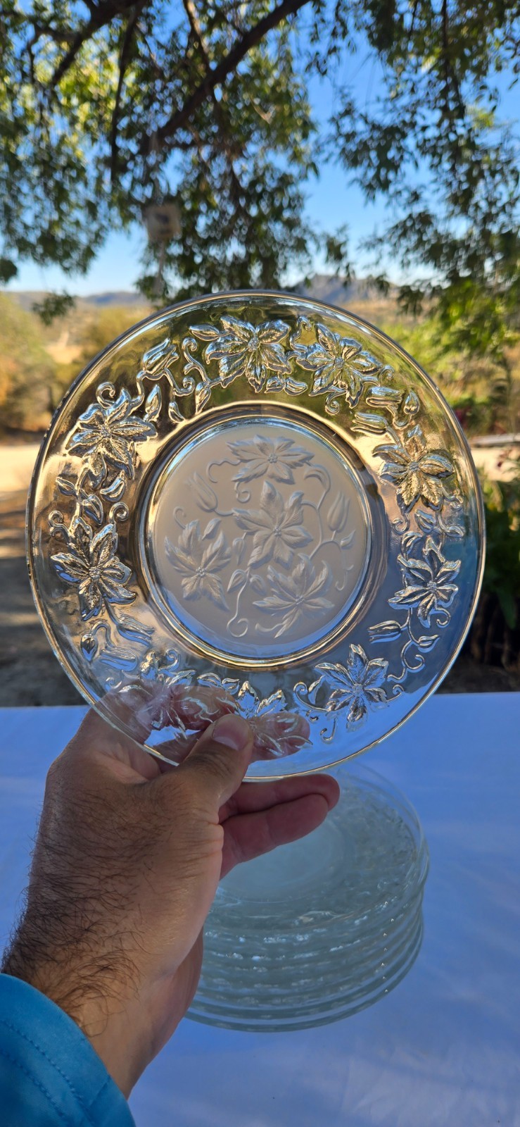 Set of 8x Princess House Fantasia Frosted Glass Crystal 8″ Dessert Salad Plates
