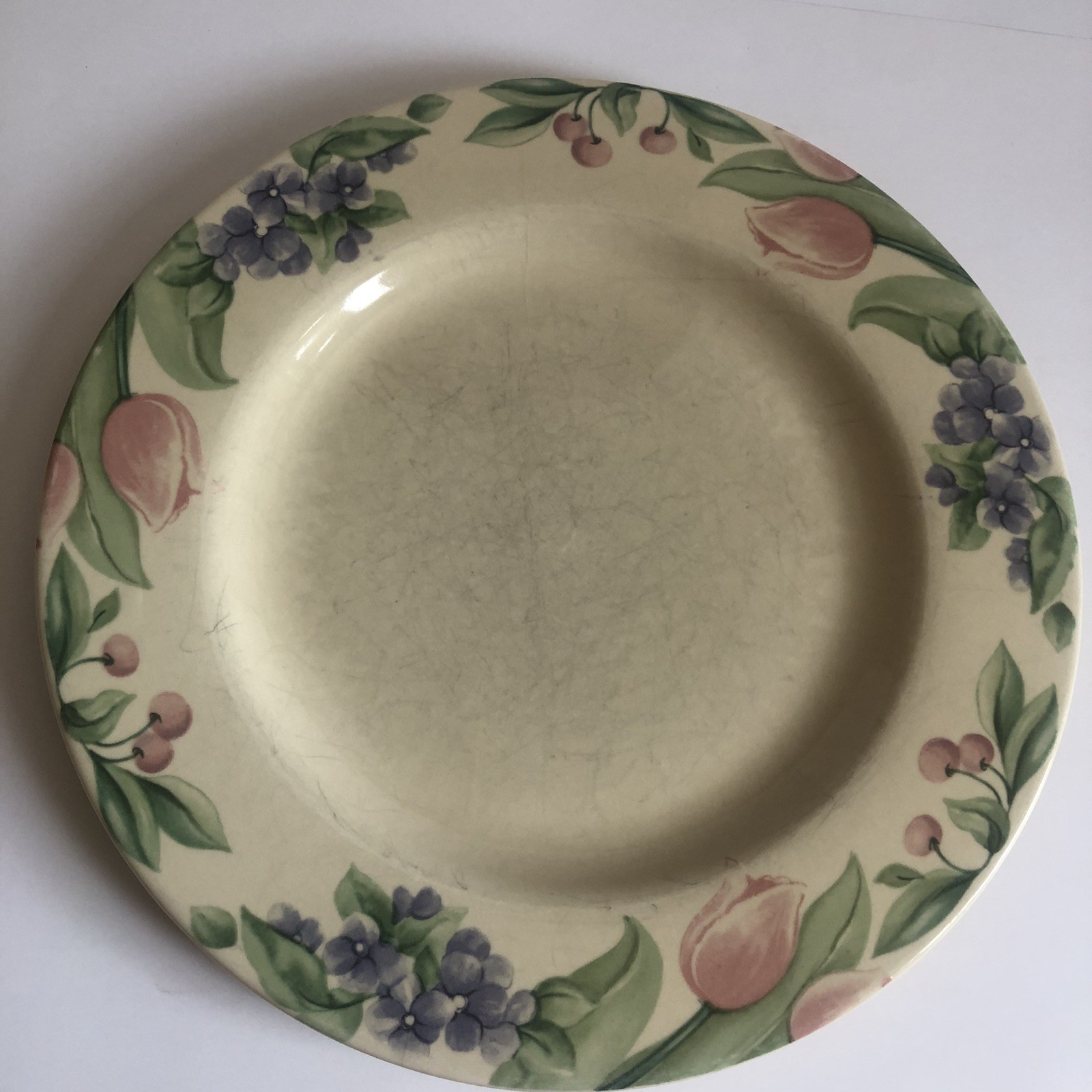 Pfaltzgraff Garden Party Impressions Dinner Plate 10.5″ Sold Separate 8 Availabl