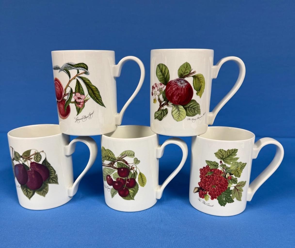 Lot of 5 Portmeirion Pomona Goddess of Fruit Coffee Mugs Cups – All Different