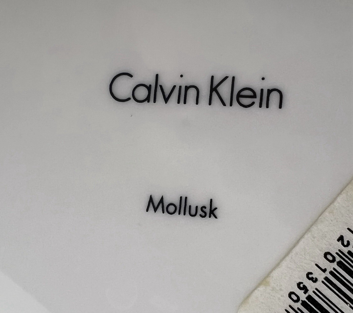 2 Calvin Klein Salad Plates Mollusk Textured Matte White Hard To Find 9.25”