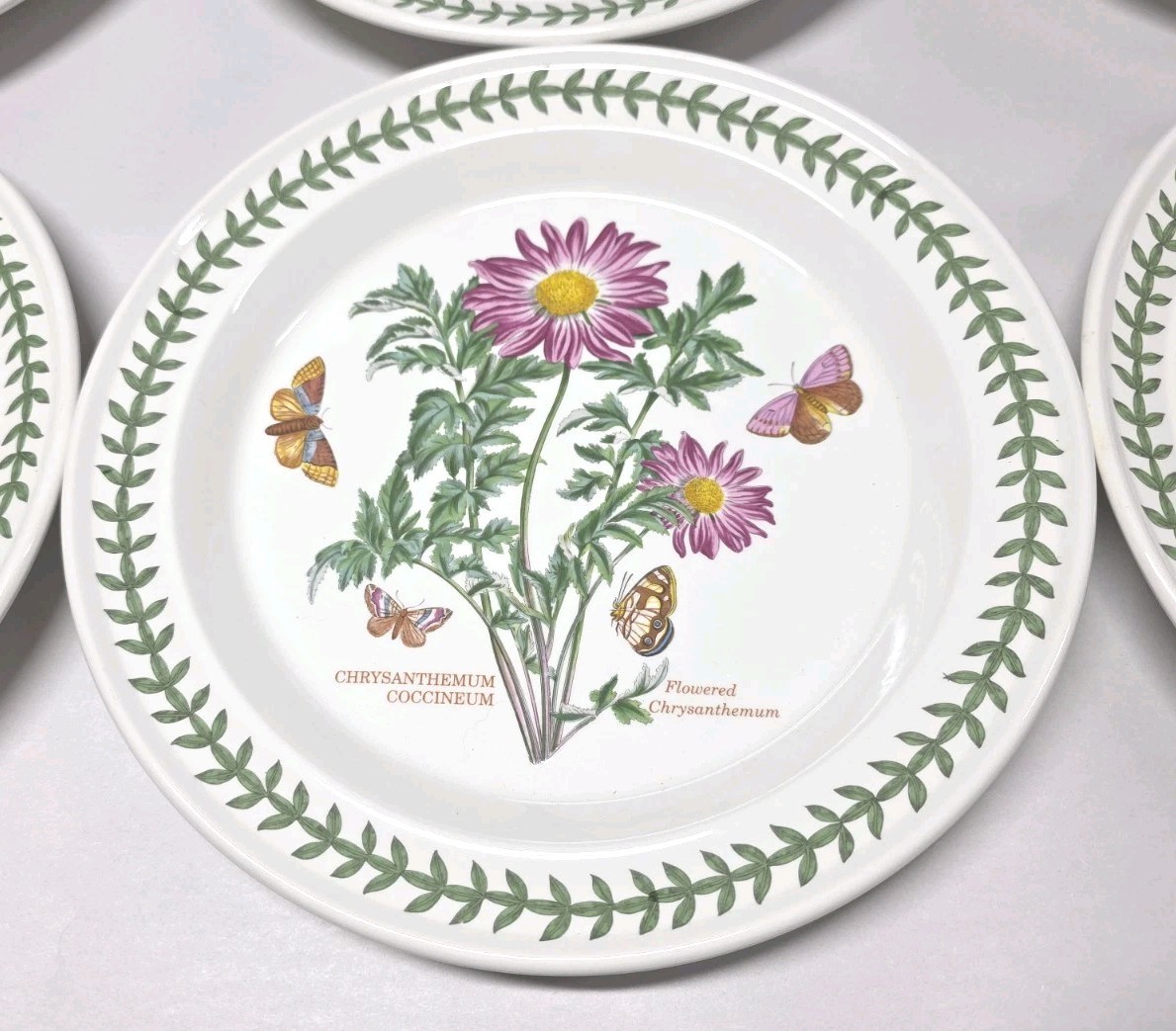 1972 Portmeirion Botanic Garden Set of 6 Rimmed Dinner Plates 10.5” EXC