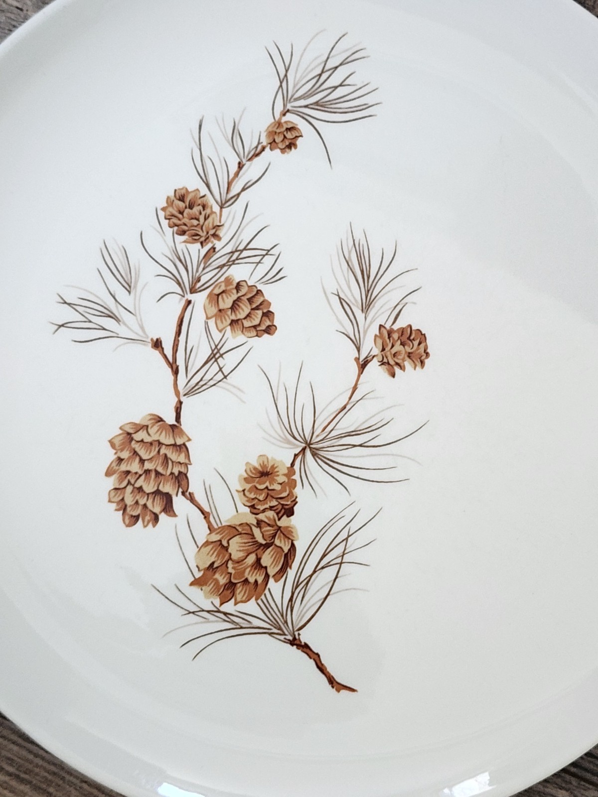 Harmony House Mocha Pine Dinner Plates | Set of 3 | Pinecones | 10″