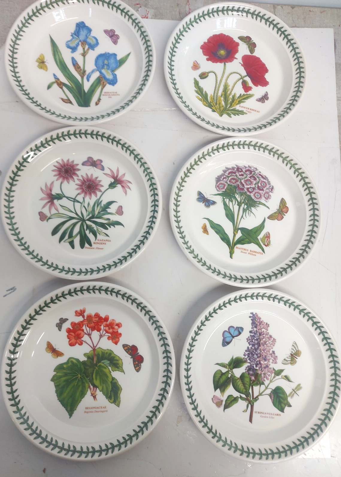 Portmeirion botanic garden set of 6 salad plates—–SD057—–ship from USA