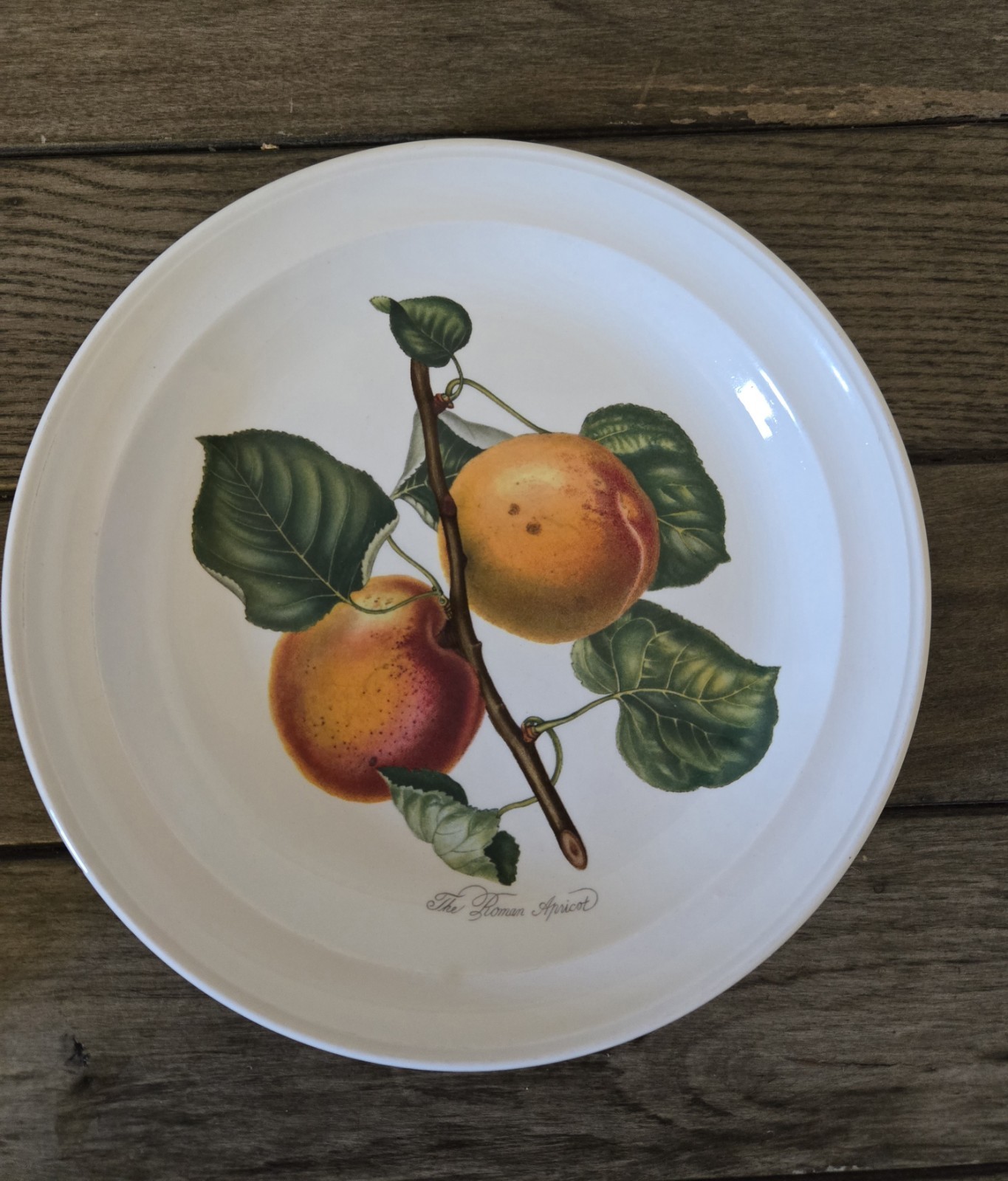Set of 4 Vintage Portmeirion England Pomona Plates 7.35″ Apricot Apple Pear
