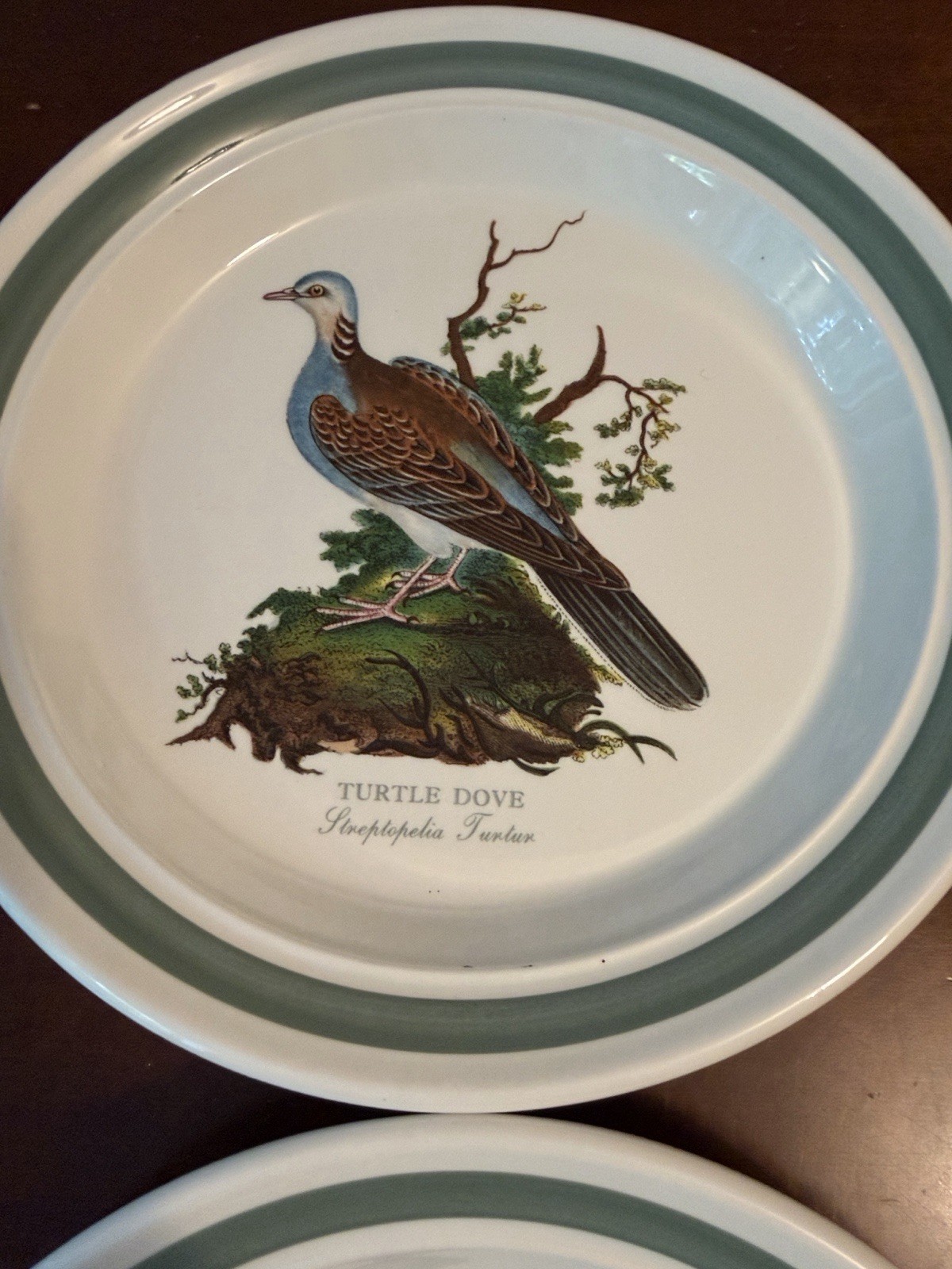 Portmeirion Birds of Britain Ceramic Salad Plates Green Rim 8 in Set of 6