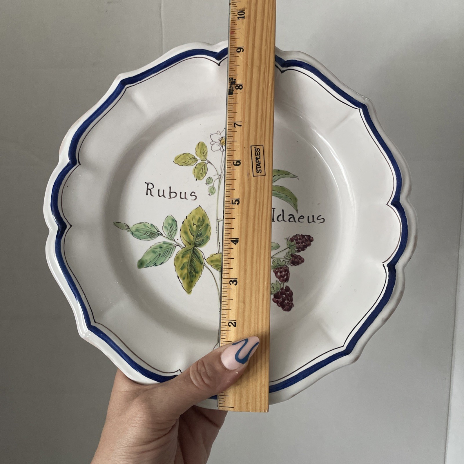 Vintage ND Dolfi Montelupo Italy Floral Wall Plates Set of 2