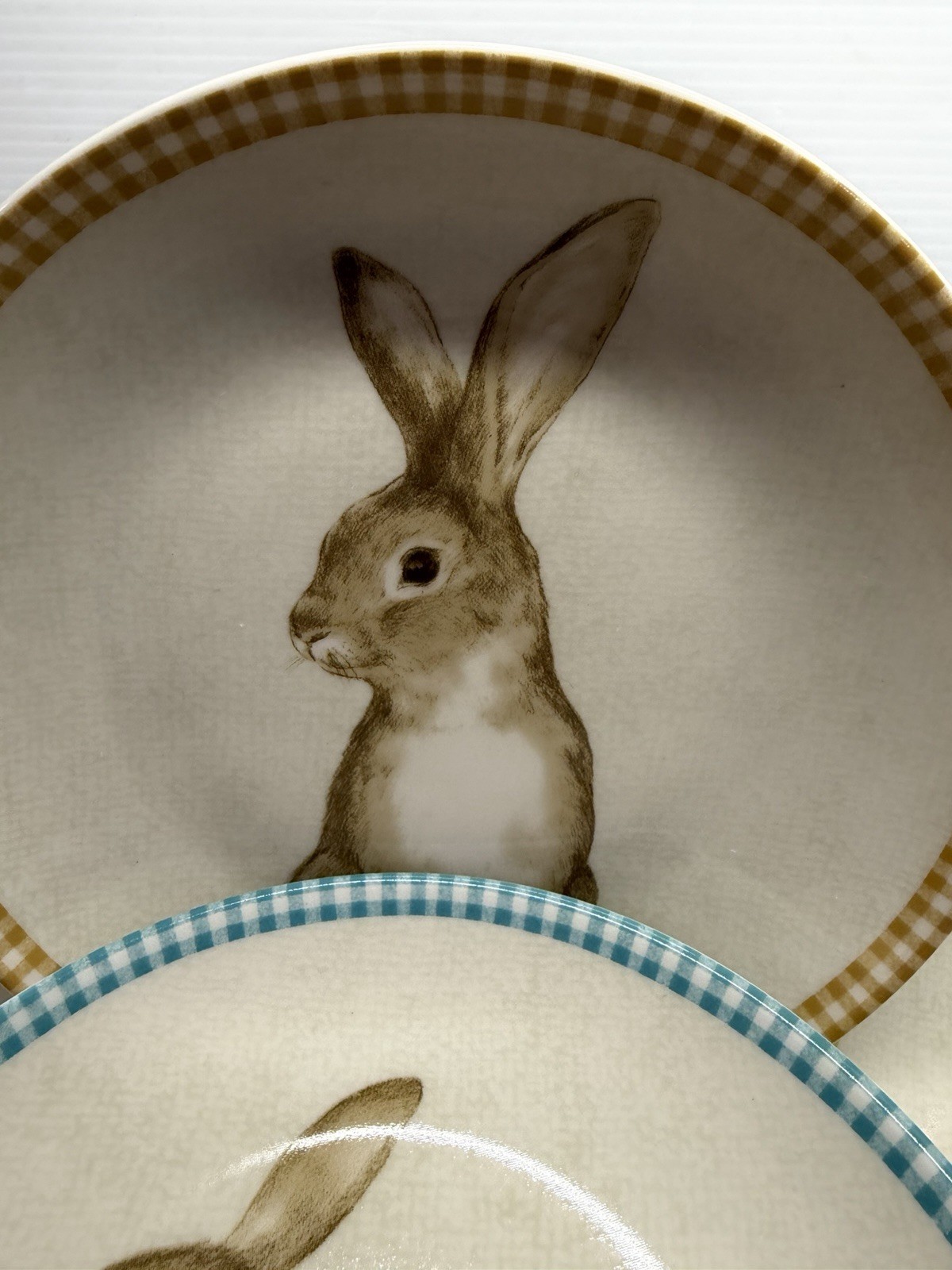 222 Fifth Bunny Land Rabbit Gingham Edge Easter Salad Plates 8” Set Of 4 New