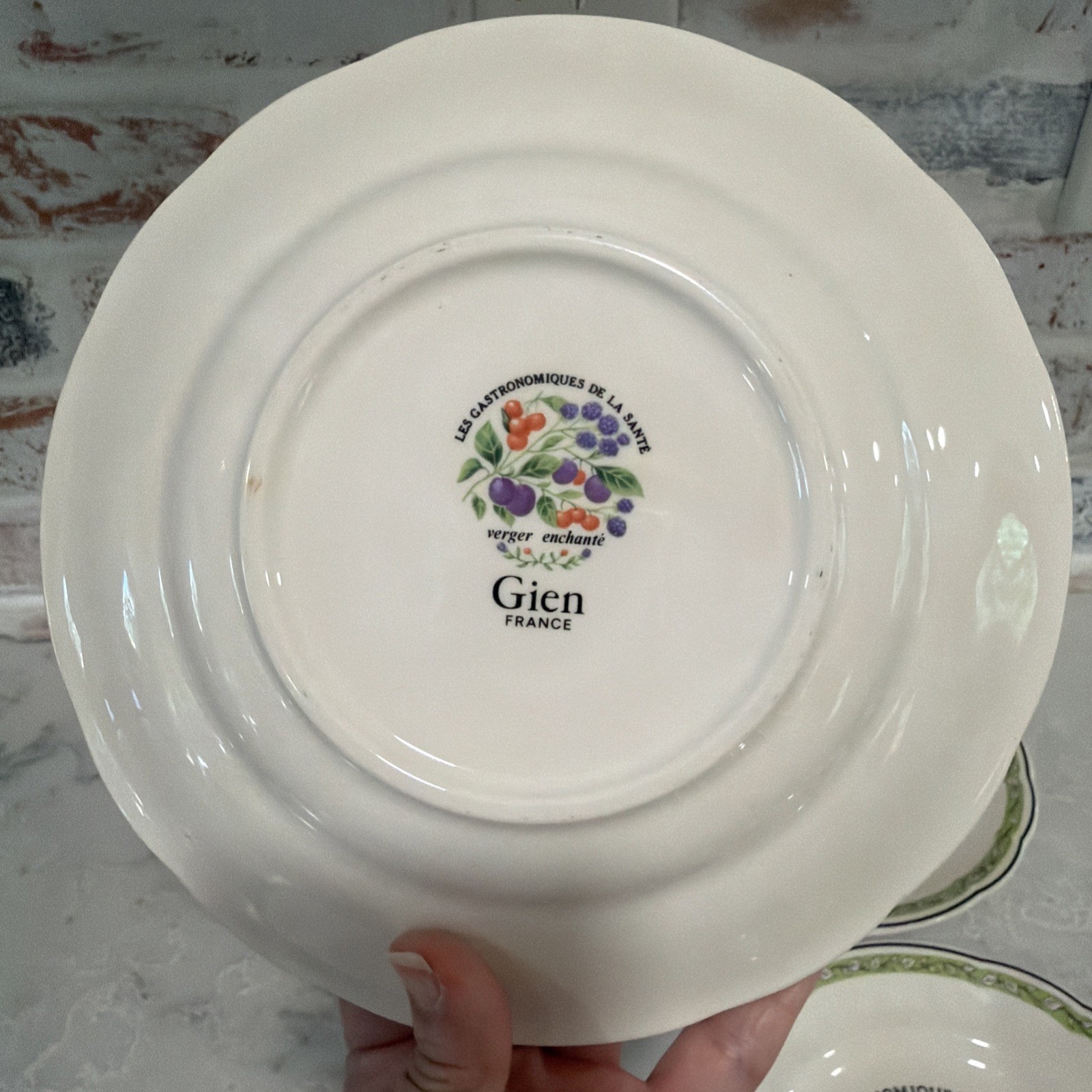 6 VTG Gien China France Les Gastronomiques de la Sante Salad Dessert Plate Set