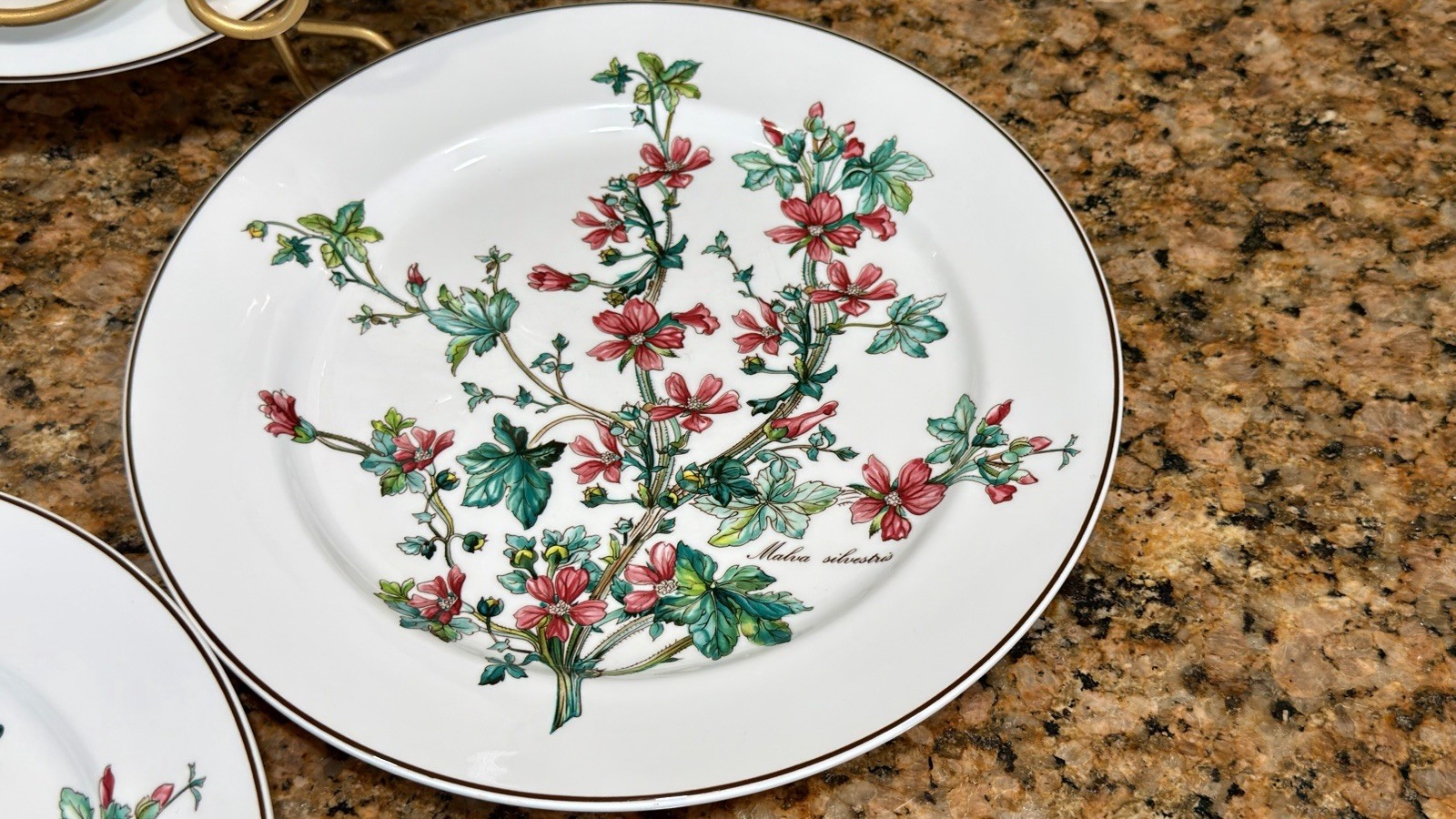 VTG Villeroy Boch Botanica Malva Silvestris 6 Dinner Plates 10-3/8 Luxembourg