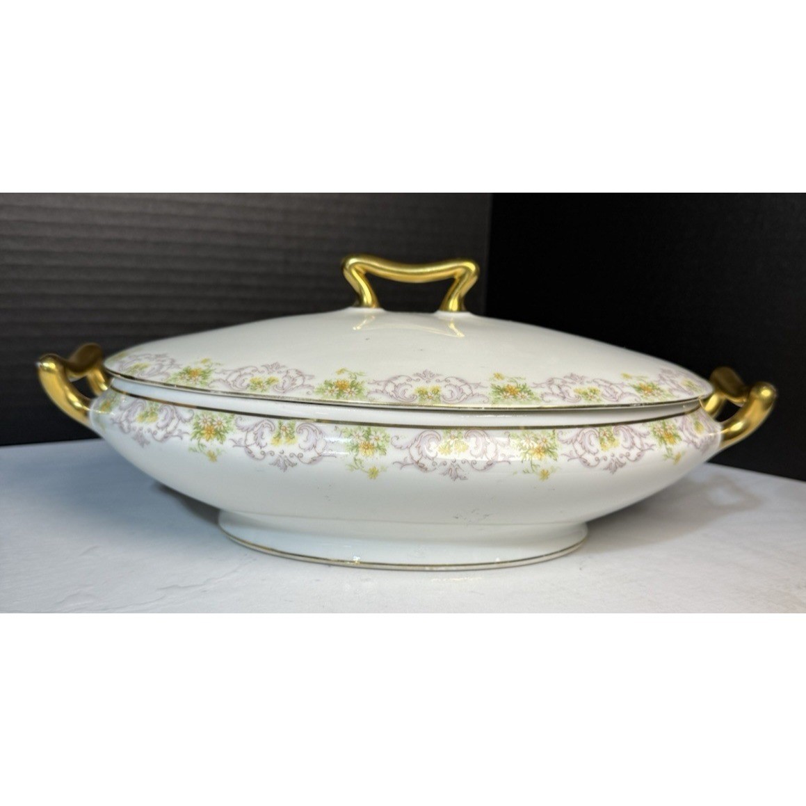 ATQ Limoges Elite Works Bawo & Dotter BWD647 Oval Covered Vegetable Server 12″