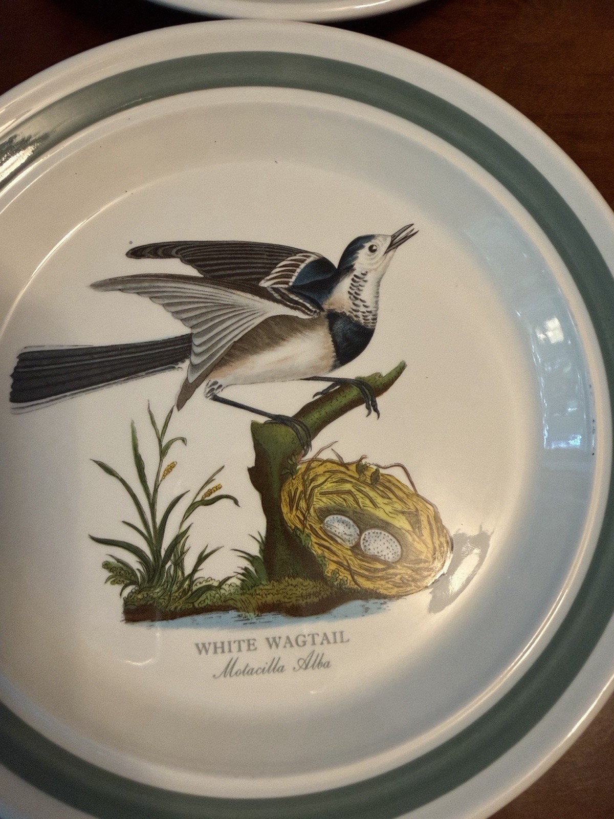 Portmeirion Birds of Britain Ceramic Salad Plates Green Rim 8 in Set of 6