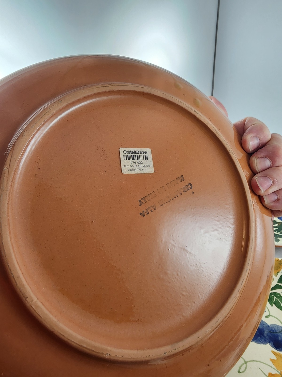 Ceramiche Alfa Dinner Plates – Made in Italy Fruit and Leaves 10″ Qty 3