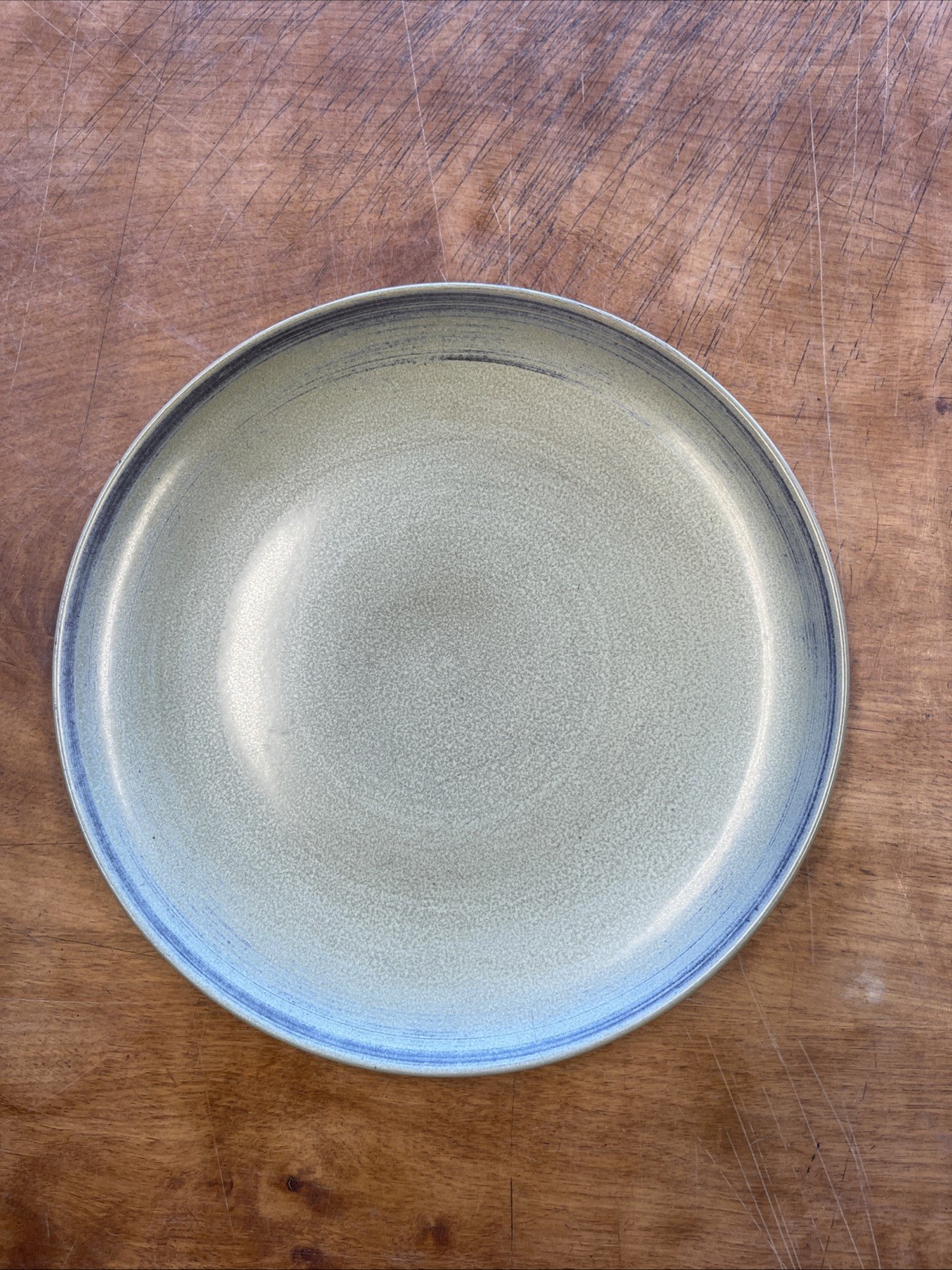 Red Wing MN USA EBB TIDE Dinner Plate 10 1/4 in 1 ea 11 available