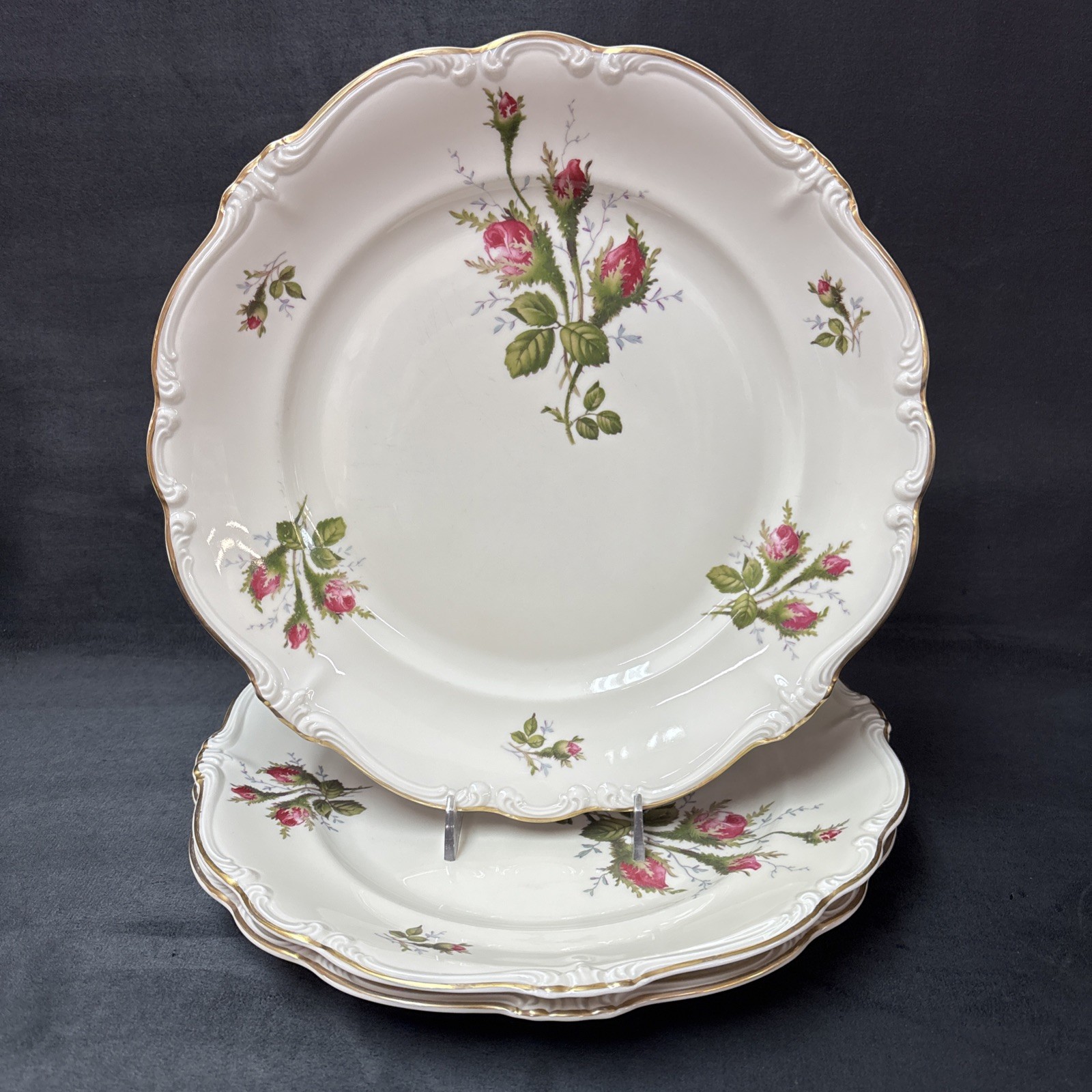Rosenthal Continental MOSS ROSE POMPADOUR (Ivory) Dinner Plate 10 1/8 Inches