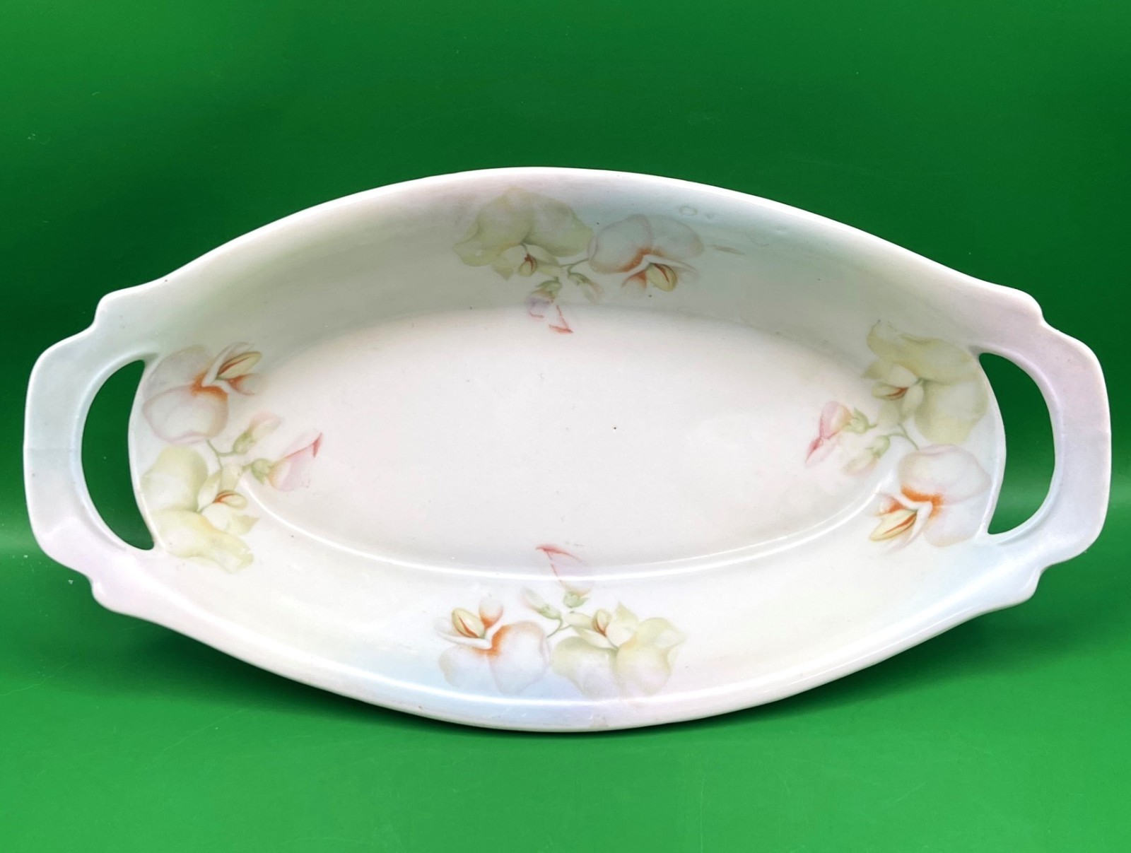 P.S.A.A. Bavaria Porzellanfabrik Schonwald Antique Oval Floral Relish Dish 1920s