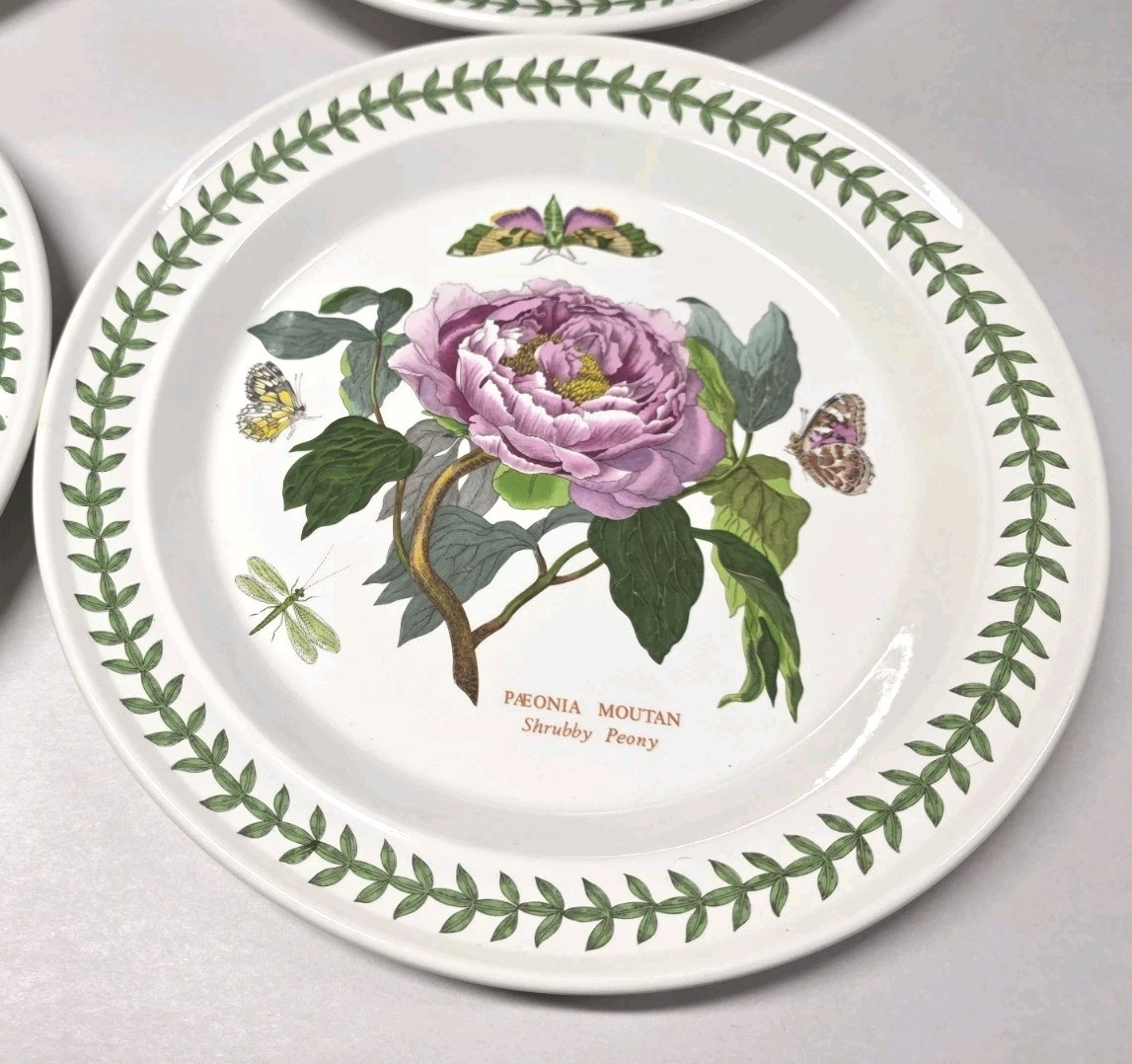 1972 Portmeirion Botanic Garden Set of 6 Rimmed Dinner Plates 10.5” EXC