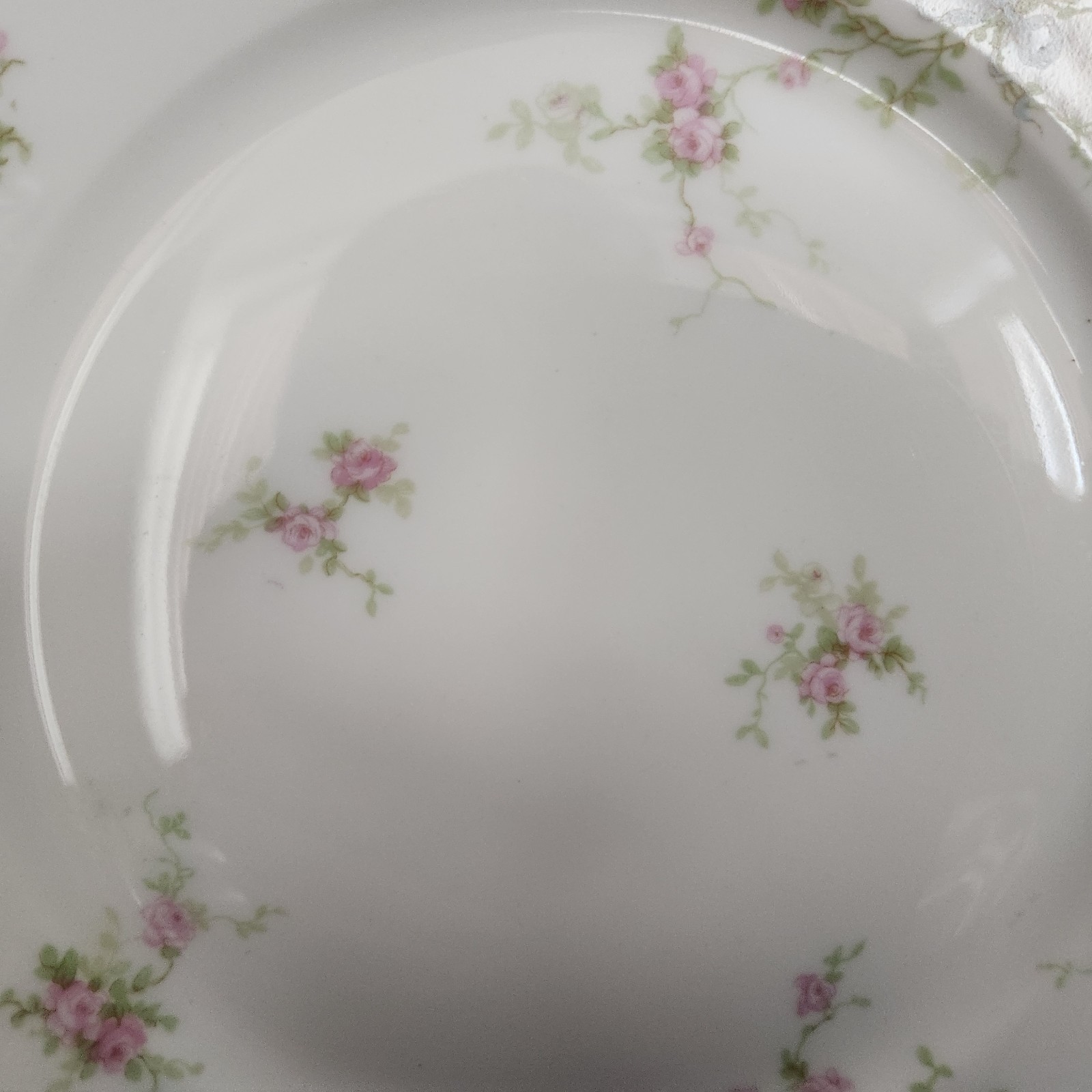 Marie (Scattered Flowers)by Haviland 8 5/8″ Luncheon Plate