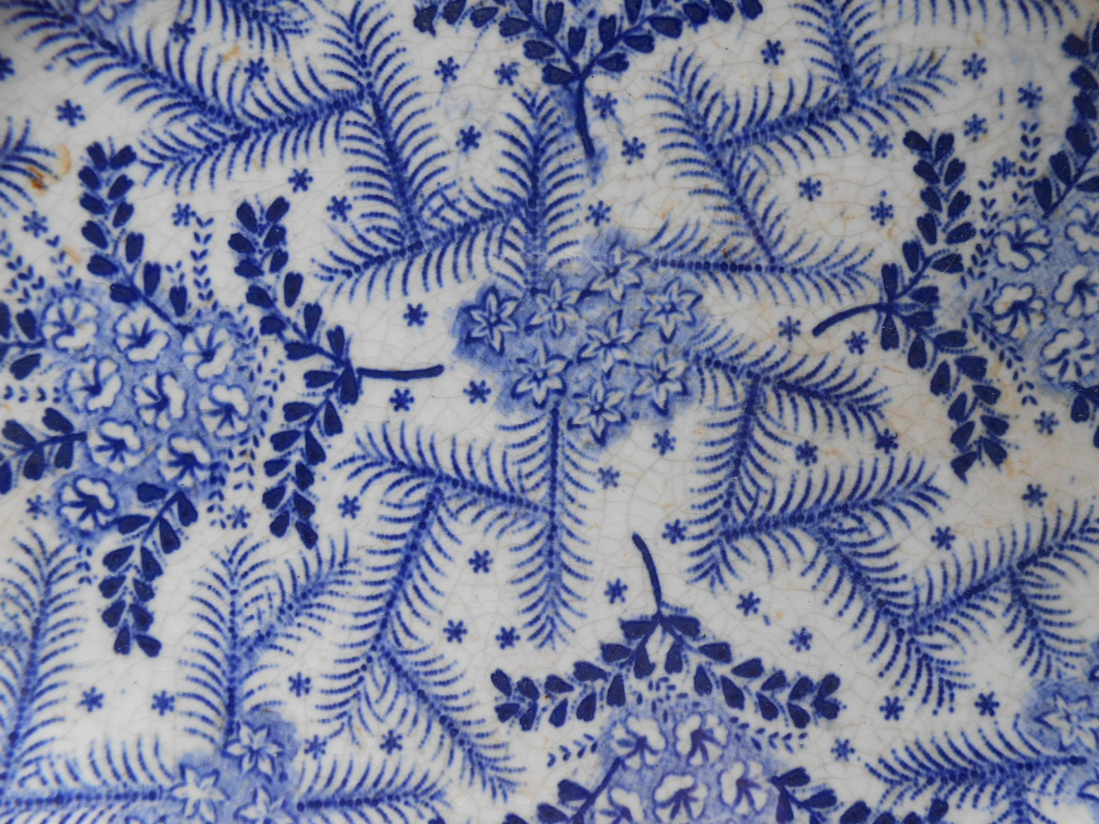 Georgian WILD ROSE Blue Transferware Platter Anti SPODE c.1830 Staff England