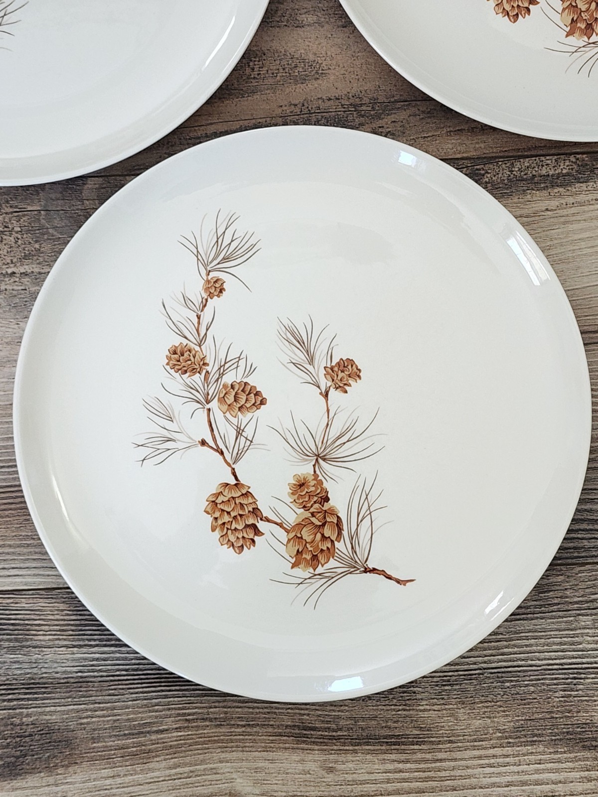 Harmony House Mocha Pine Dinner Plates | Set of 3 | Pinecones | 10″