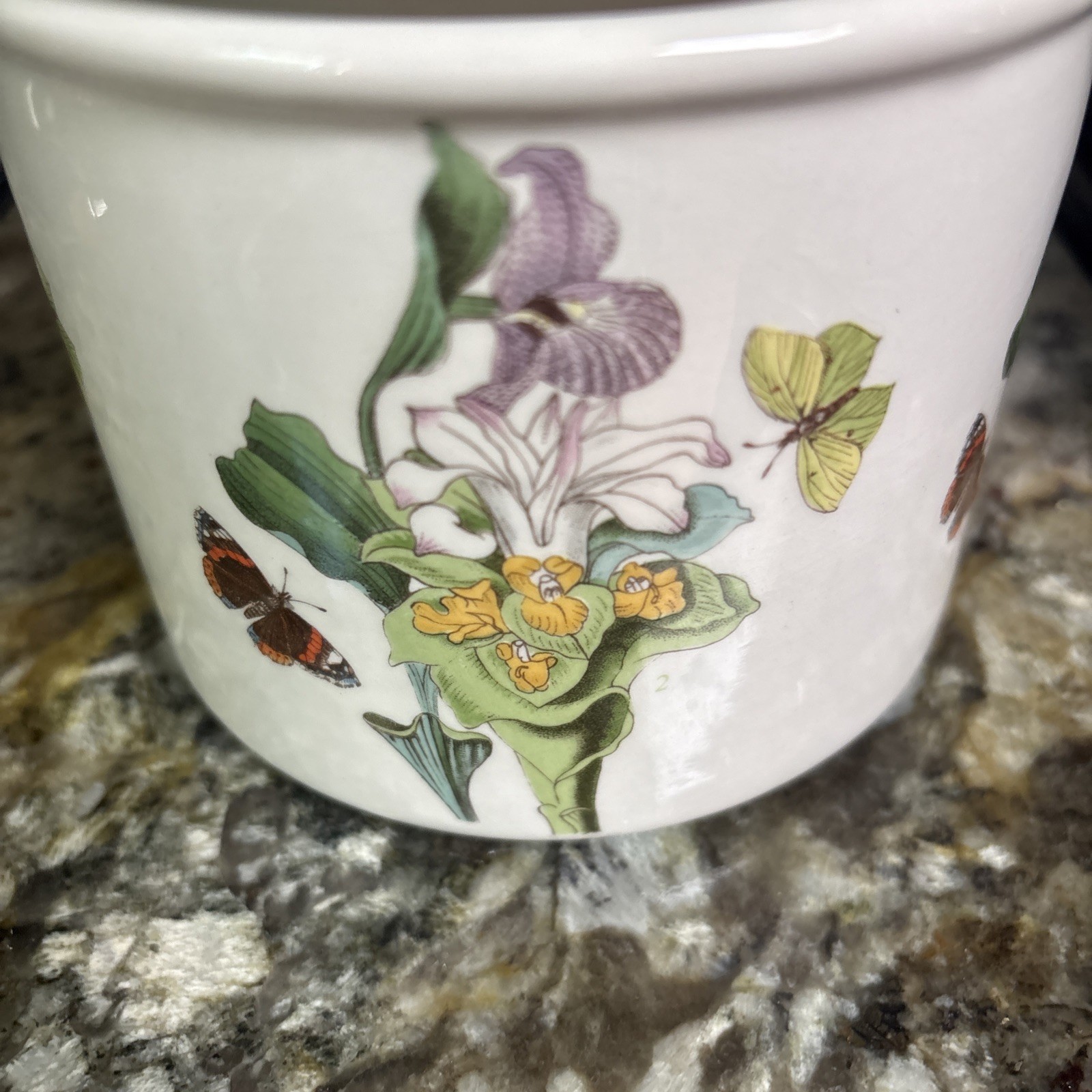 PORTMEIRION BOTANIC GARDEN CITRON (Citrus) 5″ JAR VERY RARE/Great CONDITION
