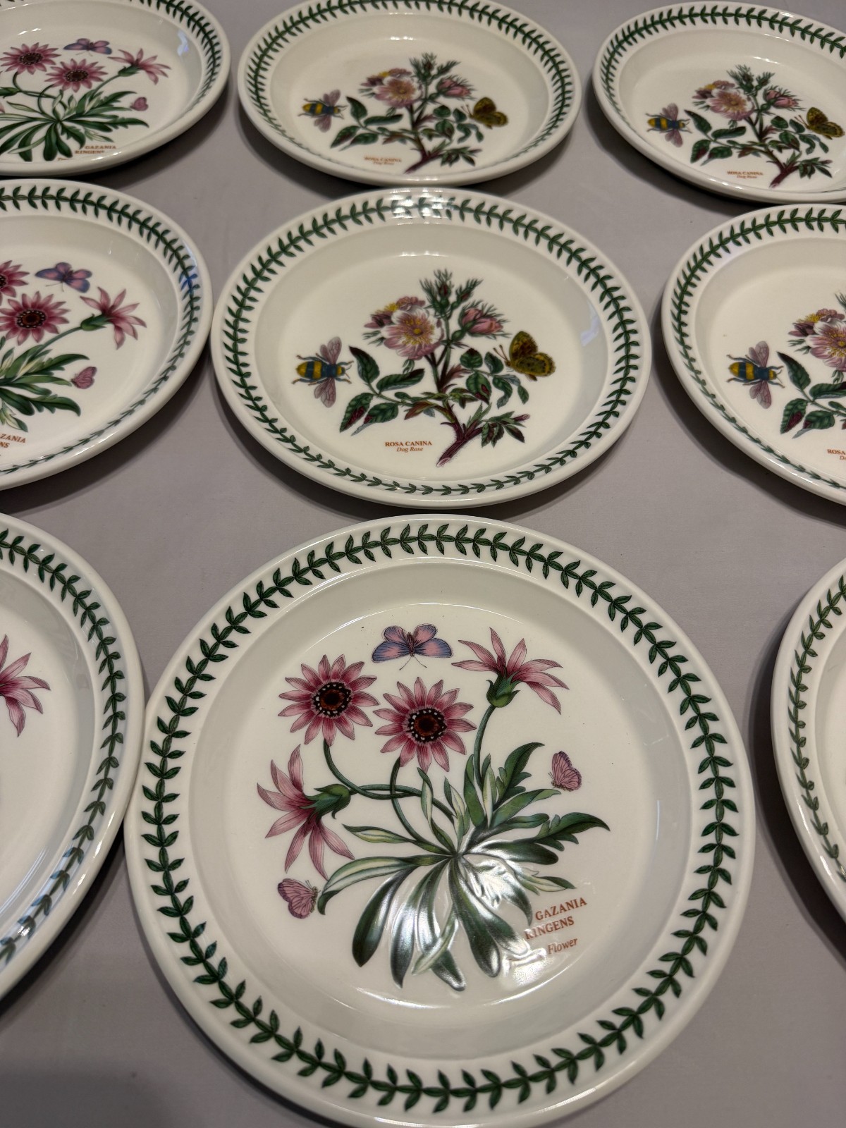 Portmeirion Botanic Garden Salad Plate Lunch England