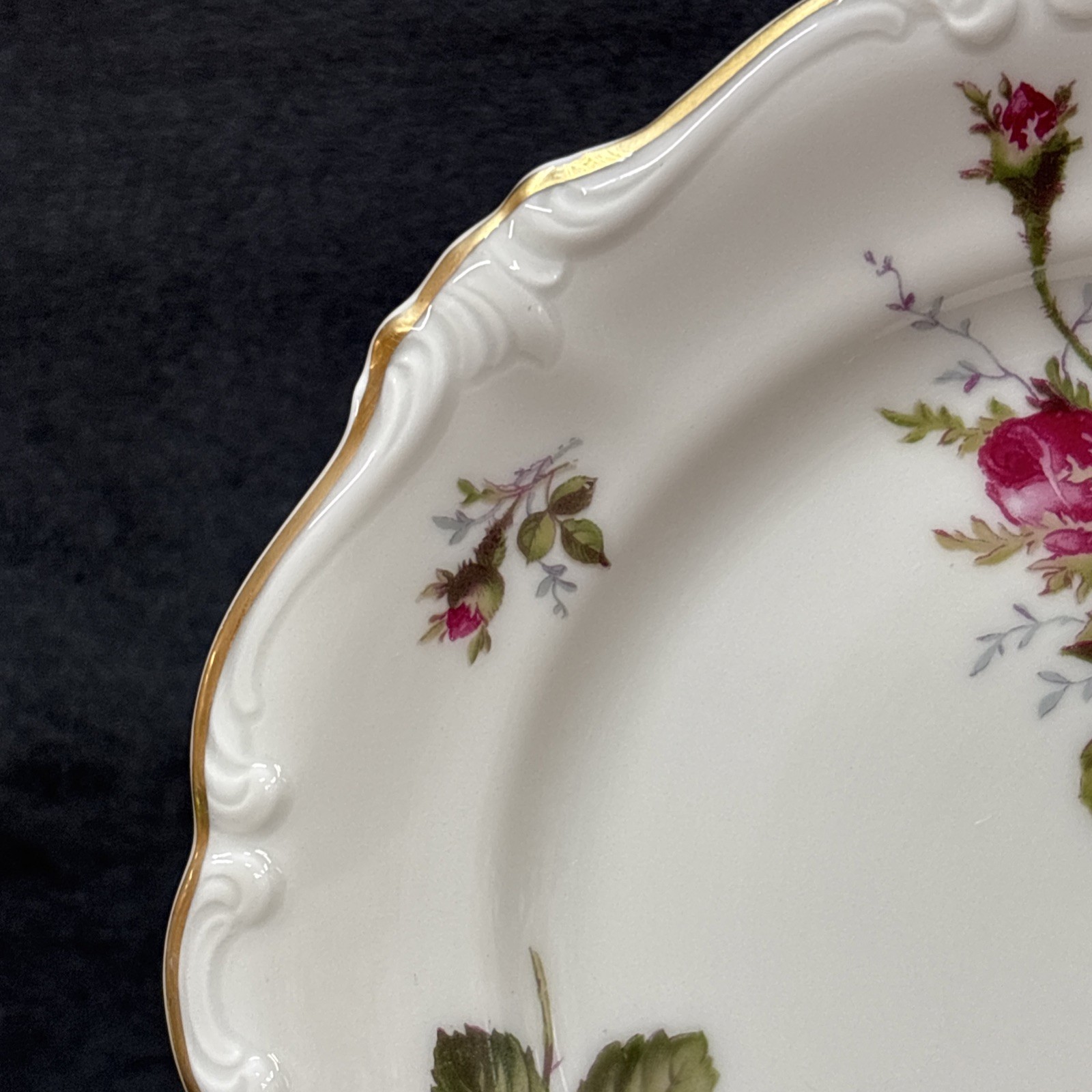Rosenthal Continental MOSS ROSE POMPADOUR (Ivory) Bread Plate 6 1/4 Inches