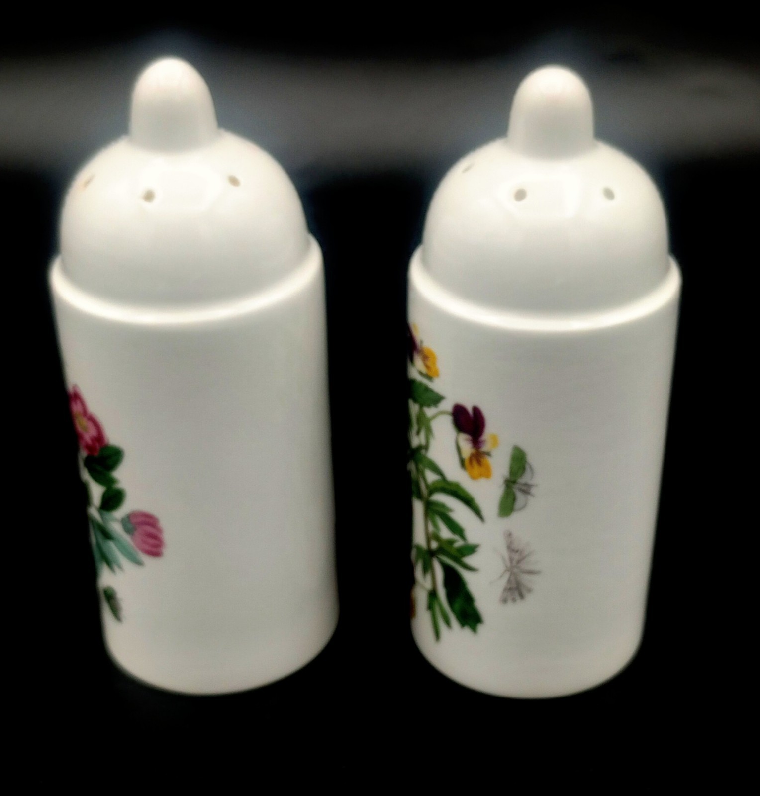 VINTAGE Portmeirion Botanic Garden Salt and Pepper Shakers Excellent Condition