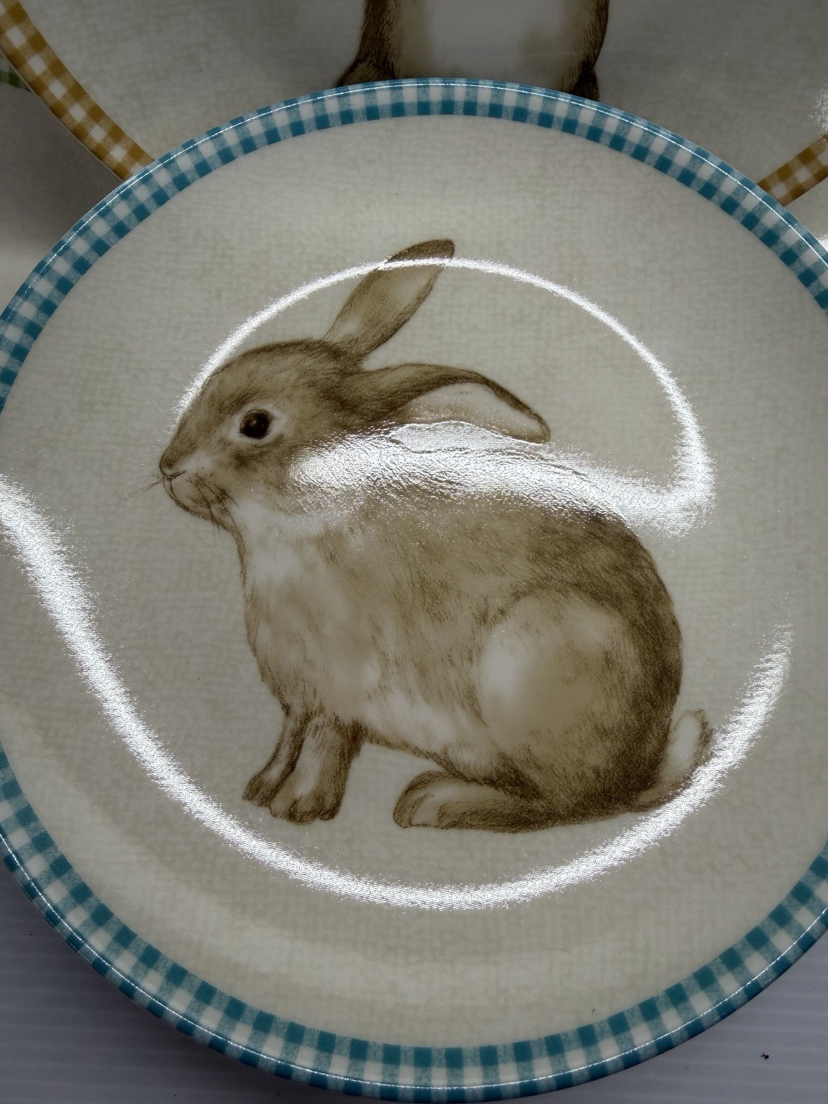 222 Fifth Bunny Land Rabbit Gingham Edge Easter Salad Plates 8” Set Of 4 New