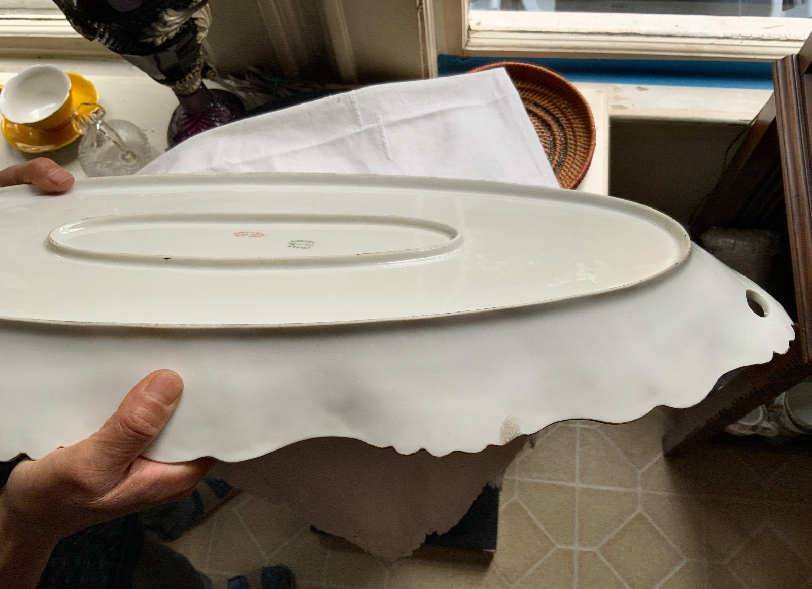 LAVIOLETTE ELITE LIMOGES FISH PLATTER & PLATE SET C.1896-1905 HIGGINS & SEITER
