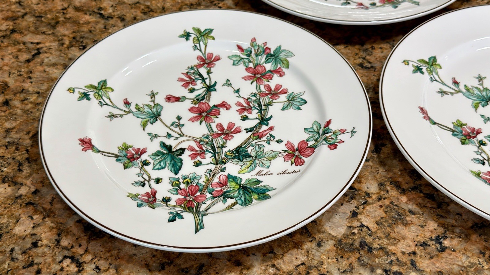 VTG Villeroy Boch Botanica Malva Silvestris 6 Dinner Plates 10-3/8 Luxembourg