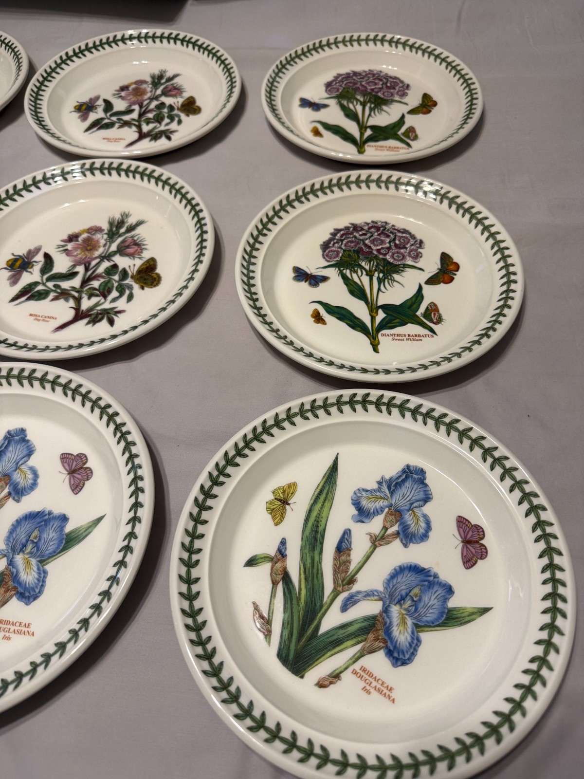 Portmeirion Botanic Garden Salad Plate Lunch England