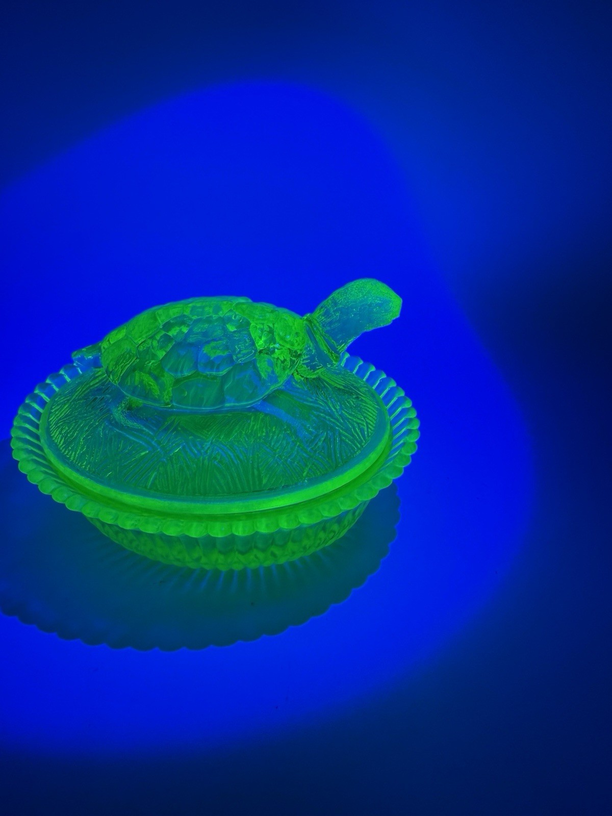VNTG Boyd Vaseline Glass Turtle Covered Dish 5.5 in VERY RARE