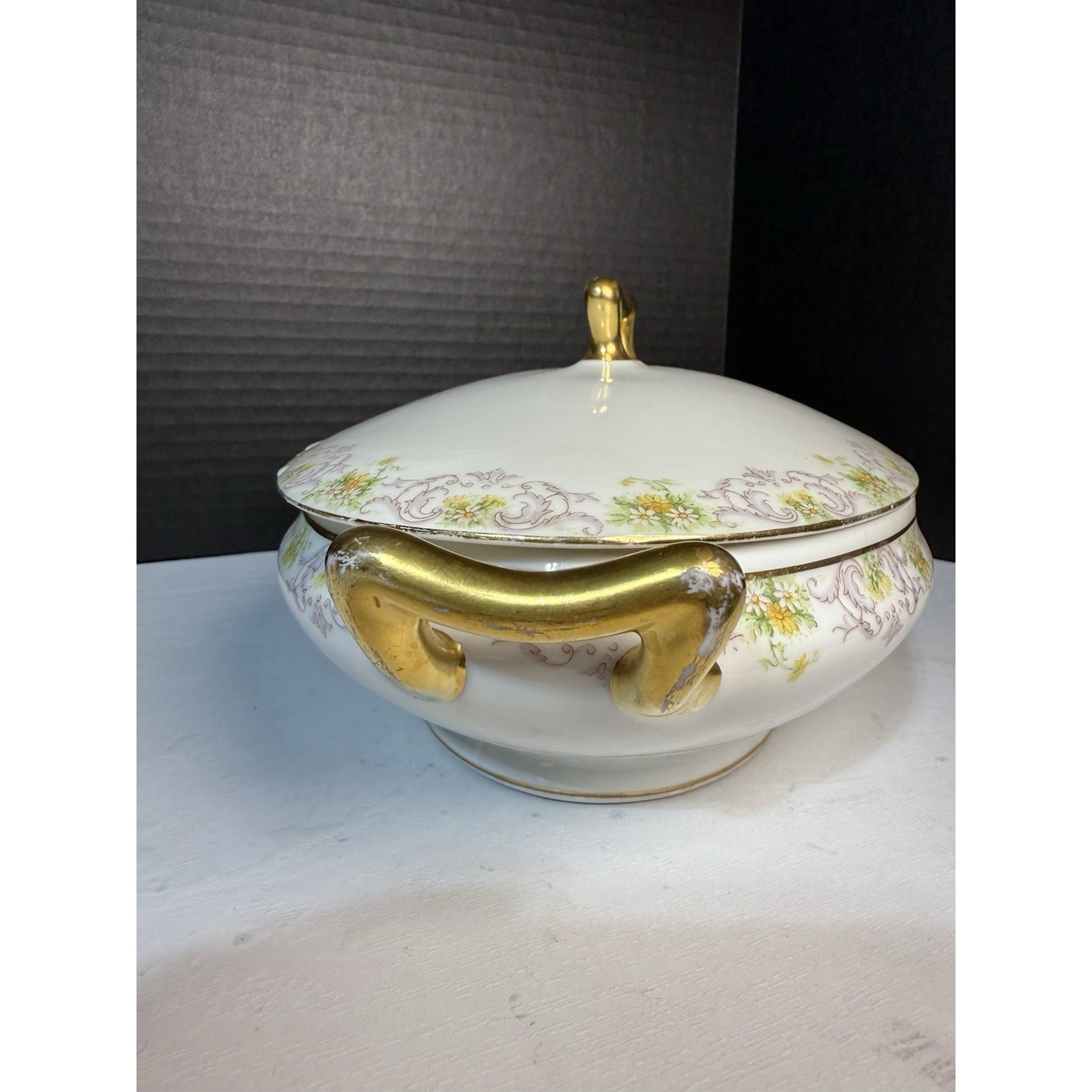 ATQ Limoges Elite Works Bawo & Dotter BWD647 Oval Covered Vegetable Server 12″